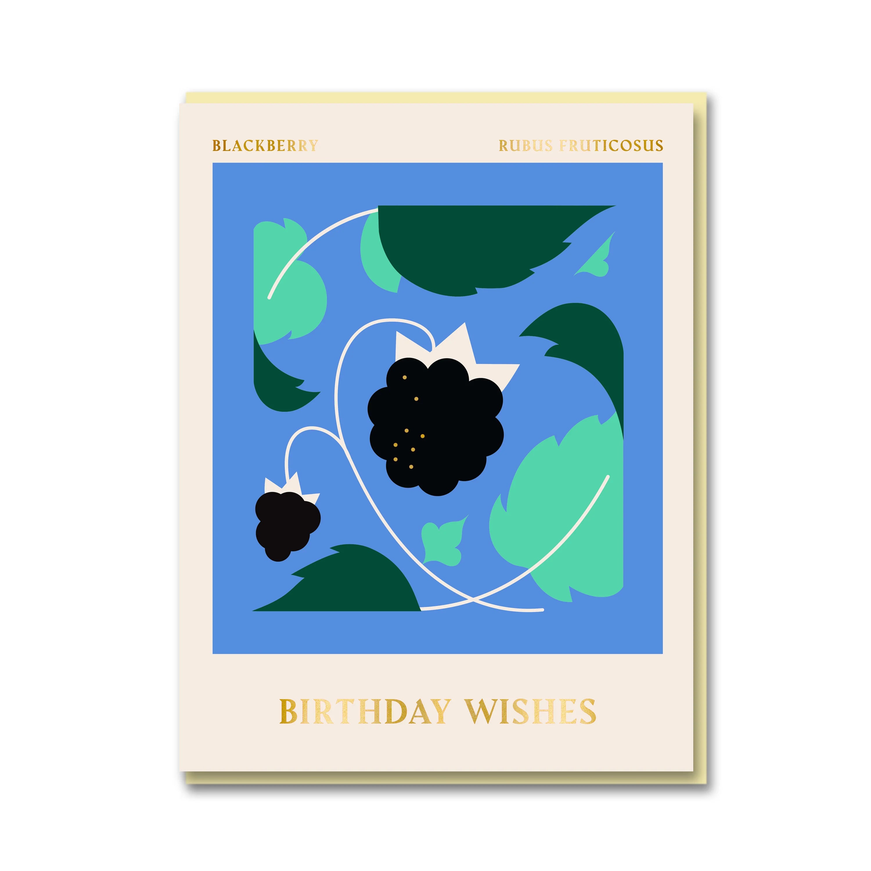 BLACKBERRY BIRTHDAY WISHES | CARD BY 1973 - OTHERLETTERS