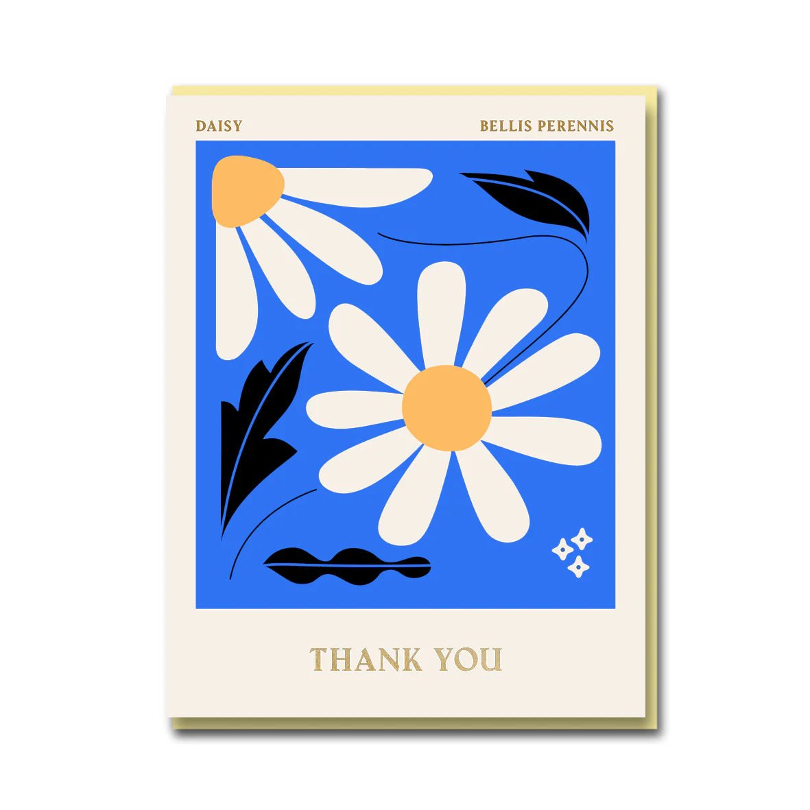 DAISY THANK YOU | CARD BY 1973 - OTHERLETTERS