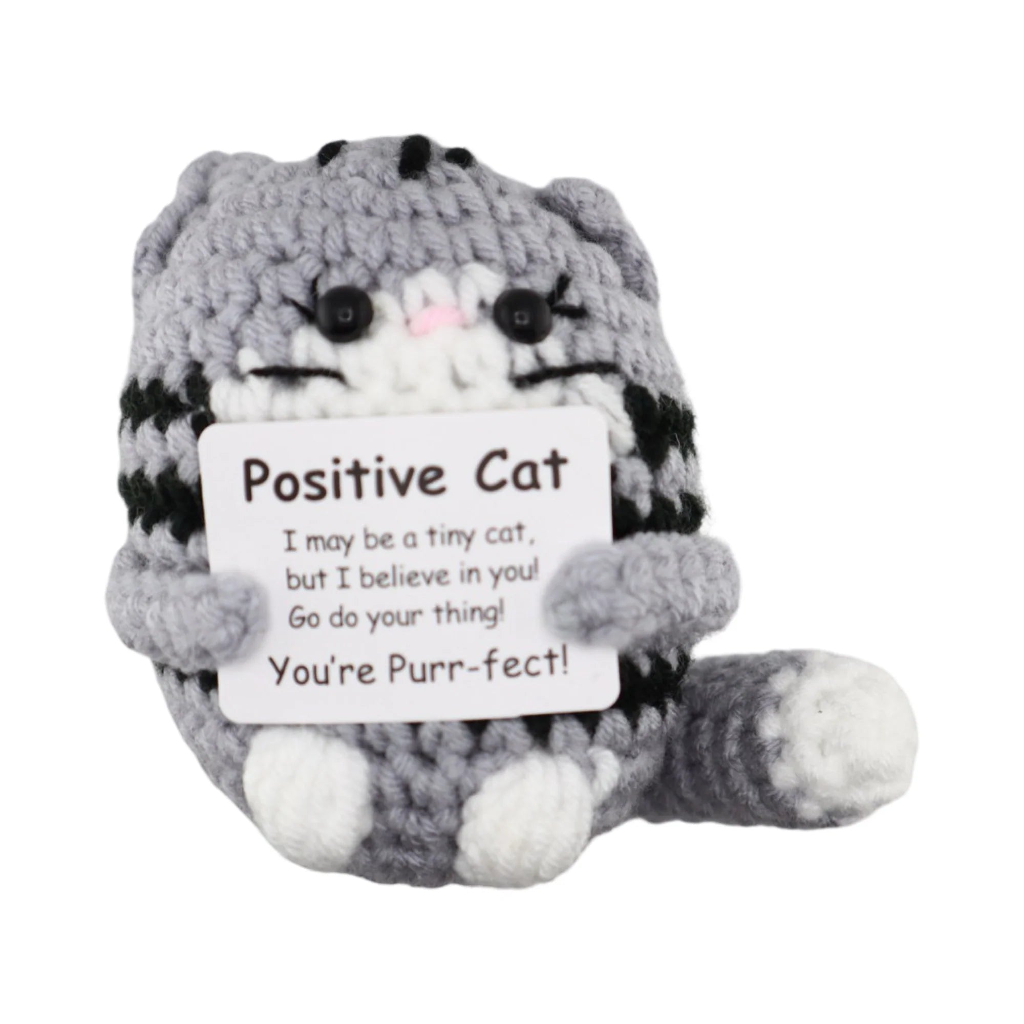POSITIVE CAT - OTHERLETTERS