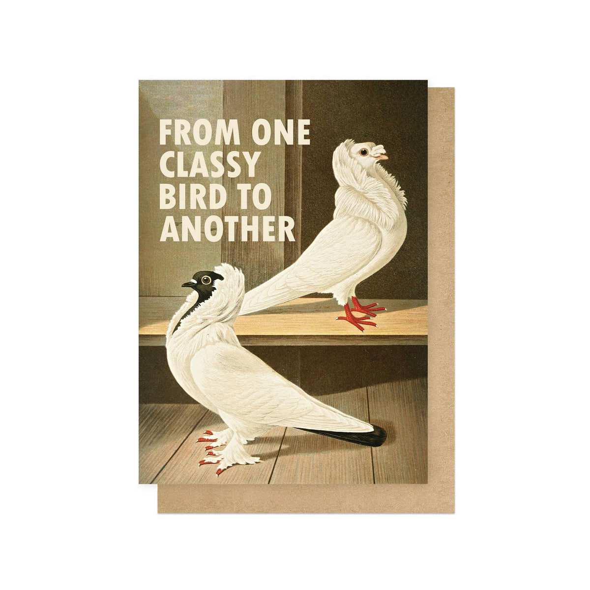 CLASSY BIRDS | CARD BY EAST END PRINTS