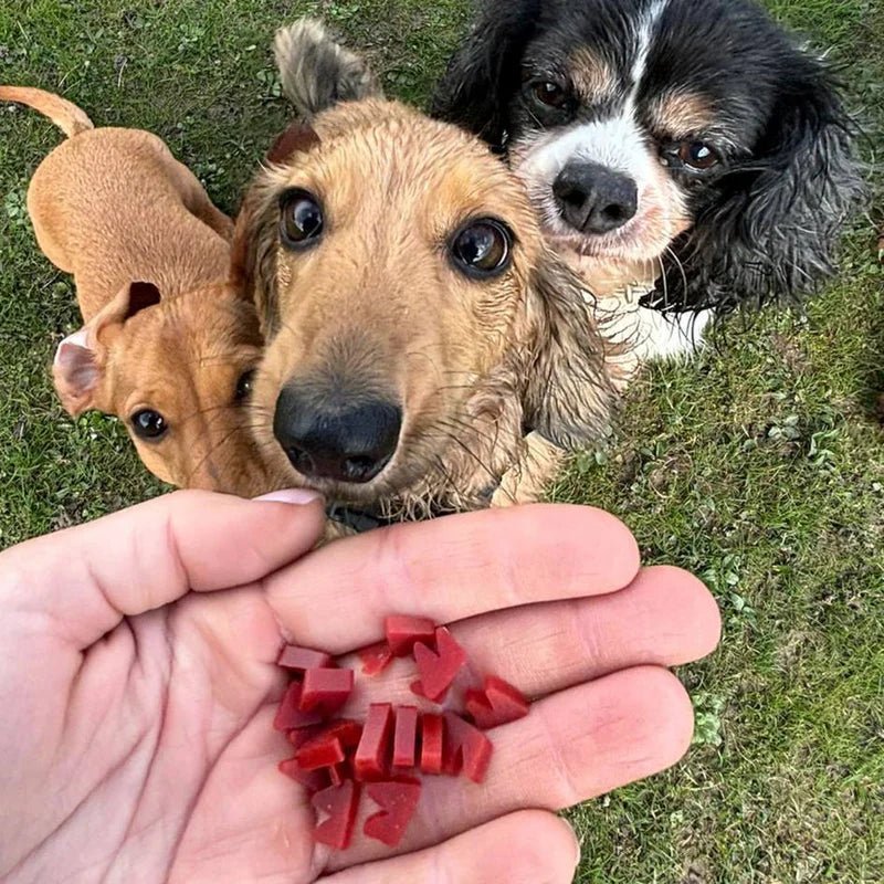 DOG TREATS TIN REFILL | WOWSERS SMOKEY FACON FLAVOUR - OTHERLETTERS