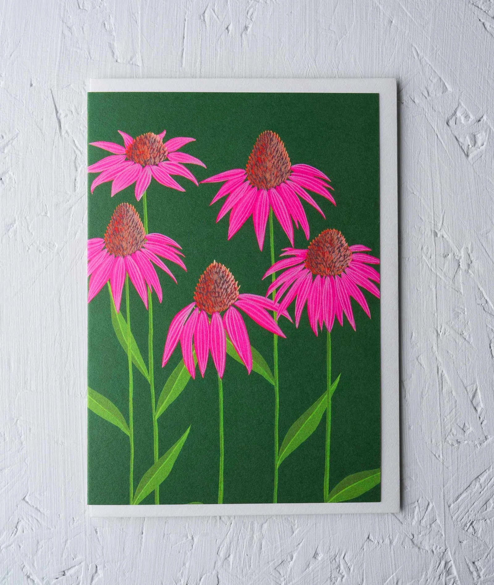 ECHINACEA | CARD BY STENGUN DRAWINGS - OTHERLETTERS
