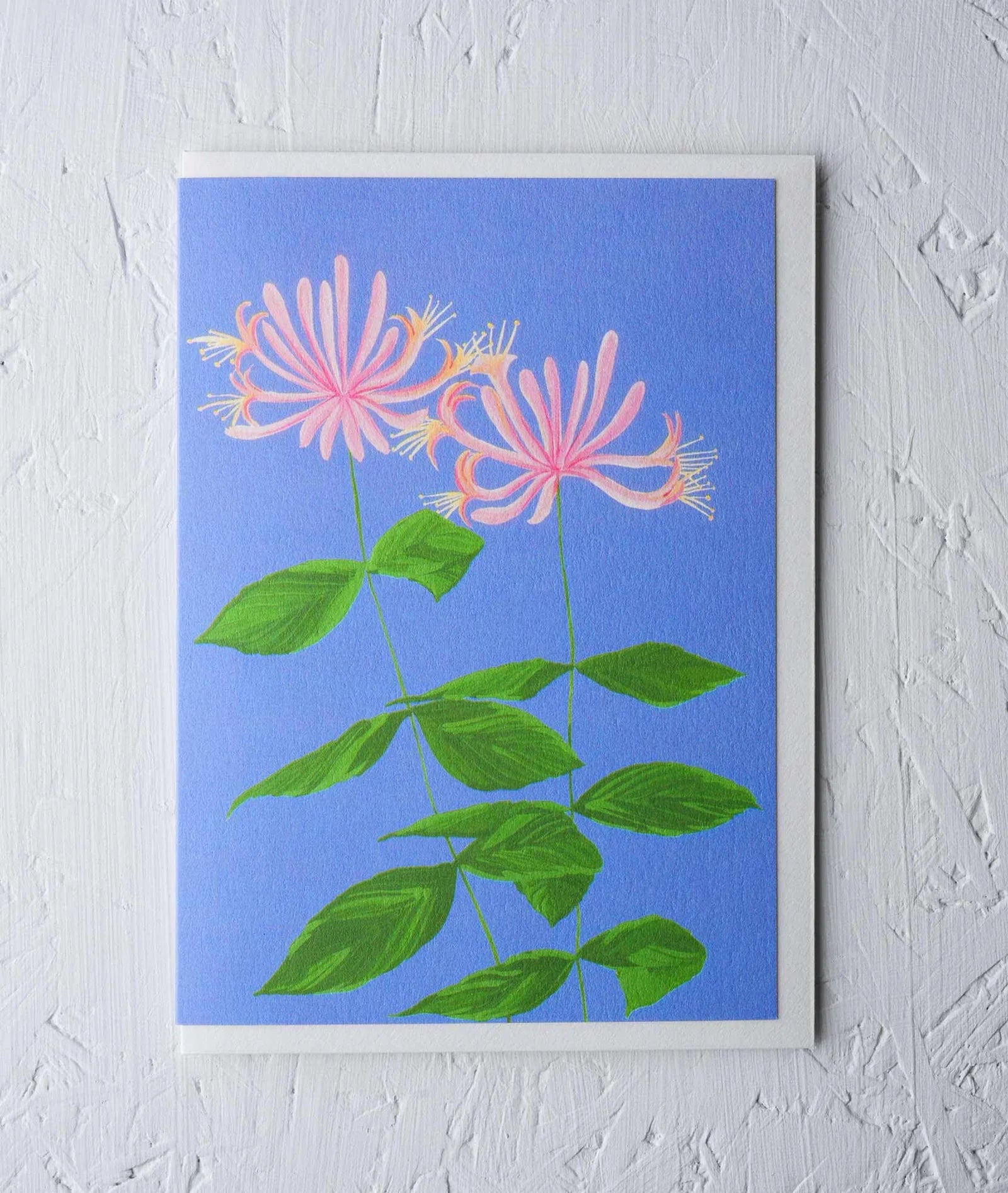 HONEYSUCKLE | CARD BY STENGUN DRAWINGS - OTHERLETTERS