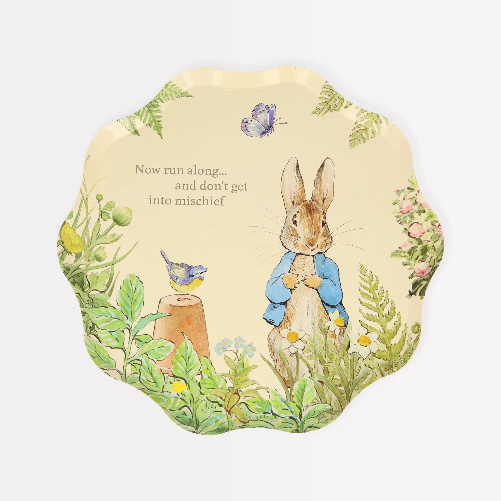 PETER RABBIT IN THE GARDEN | PAPER PLATES - OTHERLETTERS