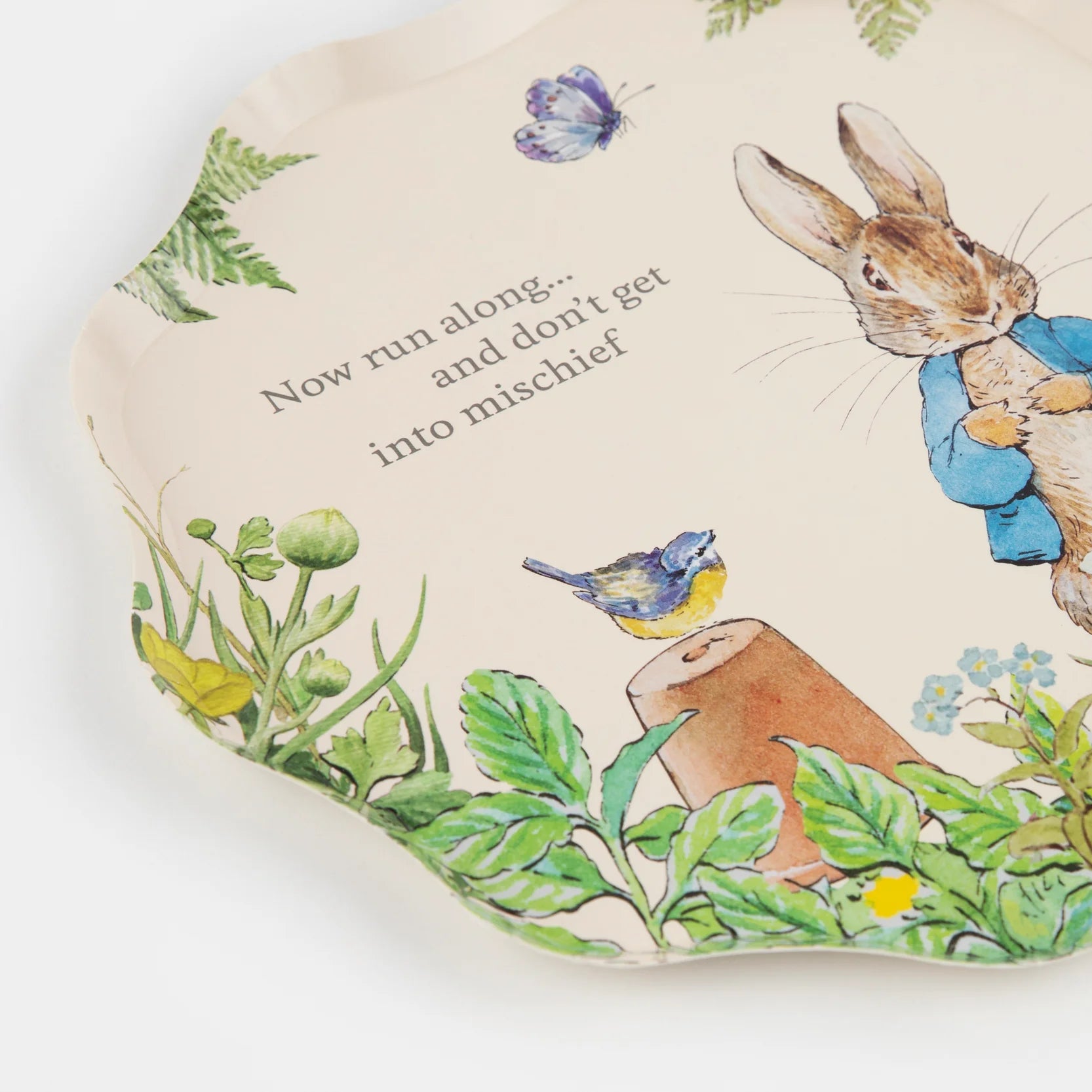 PETER RABBIT IN THE GARDEN | PAPER PLATES - OTHERLETTERS