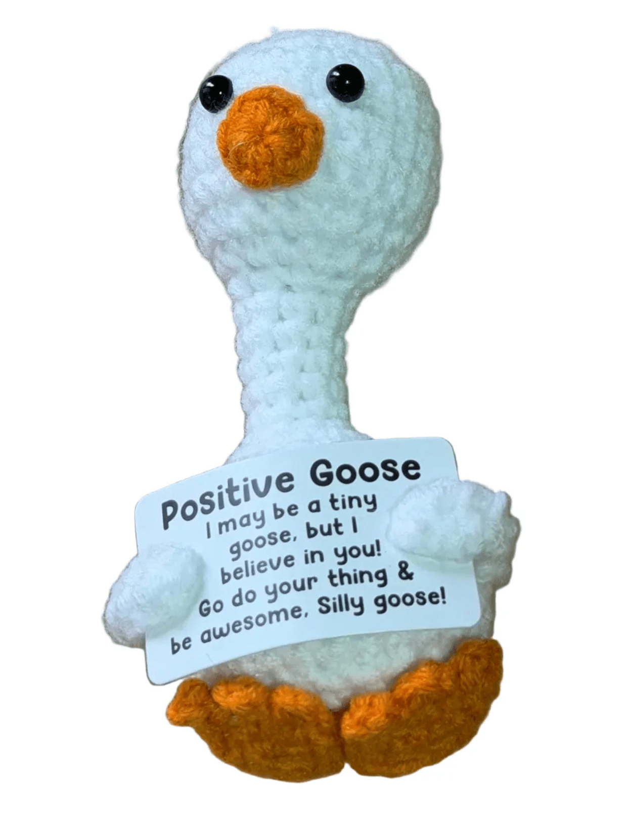 POSITIVE GOOSE - OTHERLETTERS