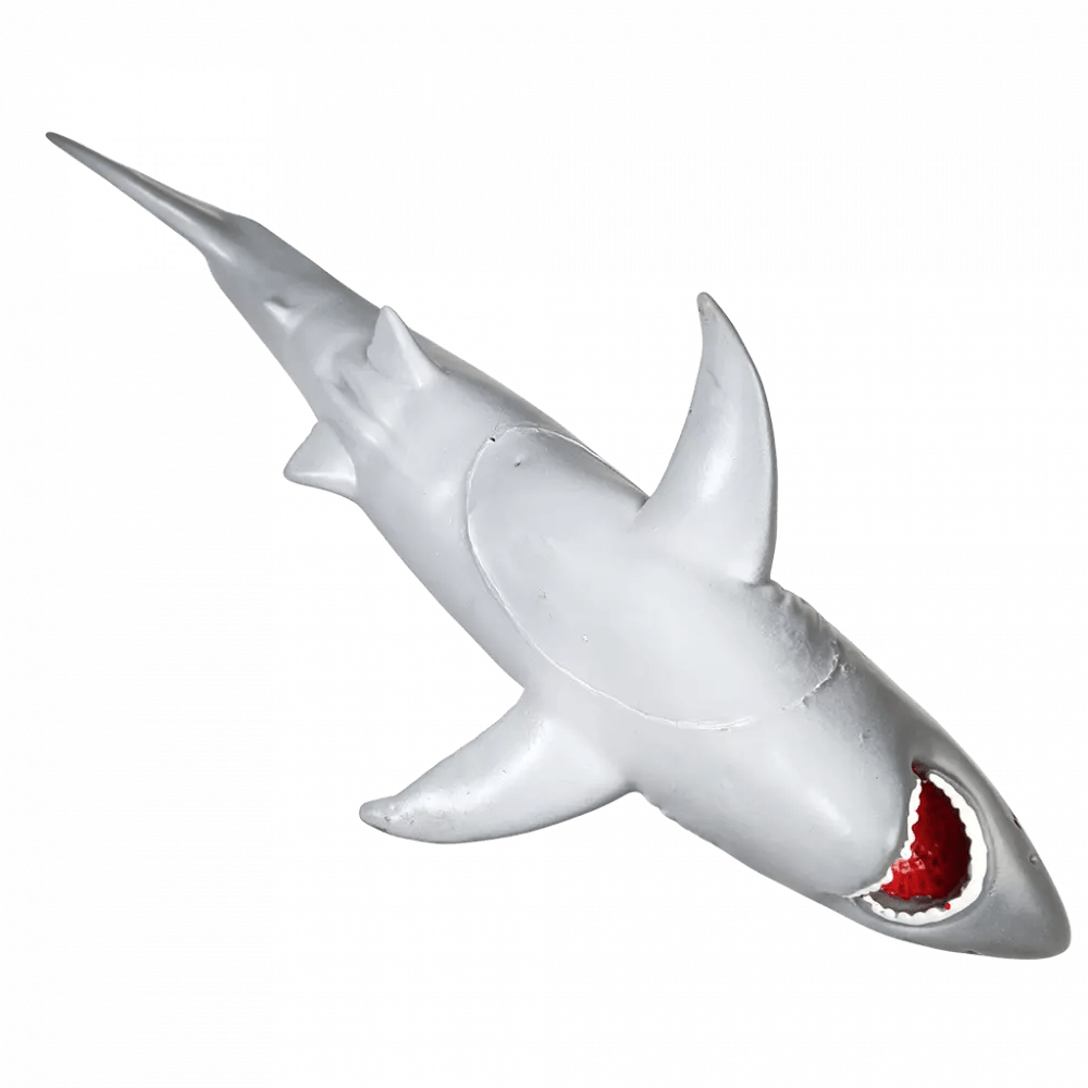 SHARK BATH TIME WATER SQUIRTER - OTHERLETTERS