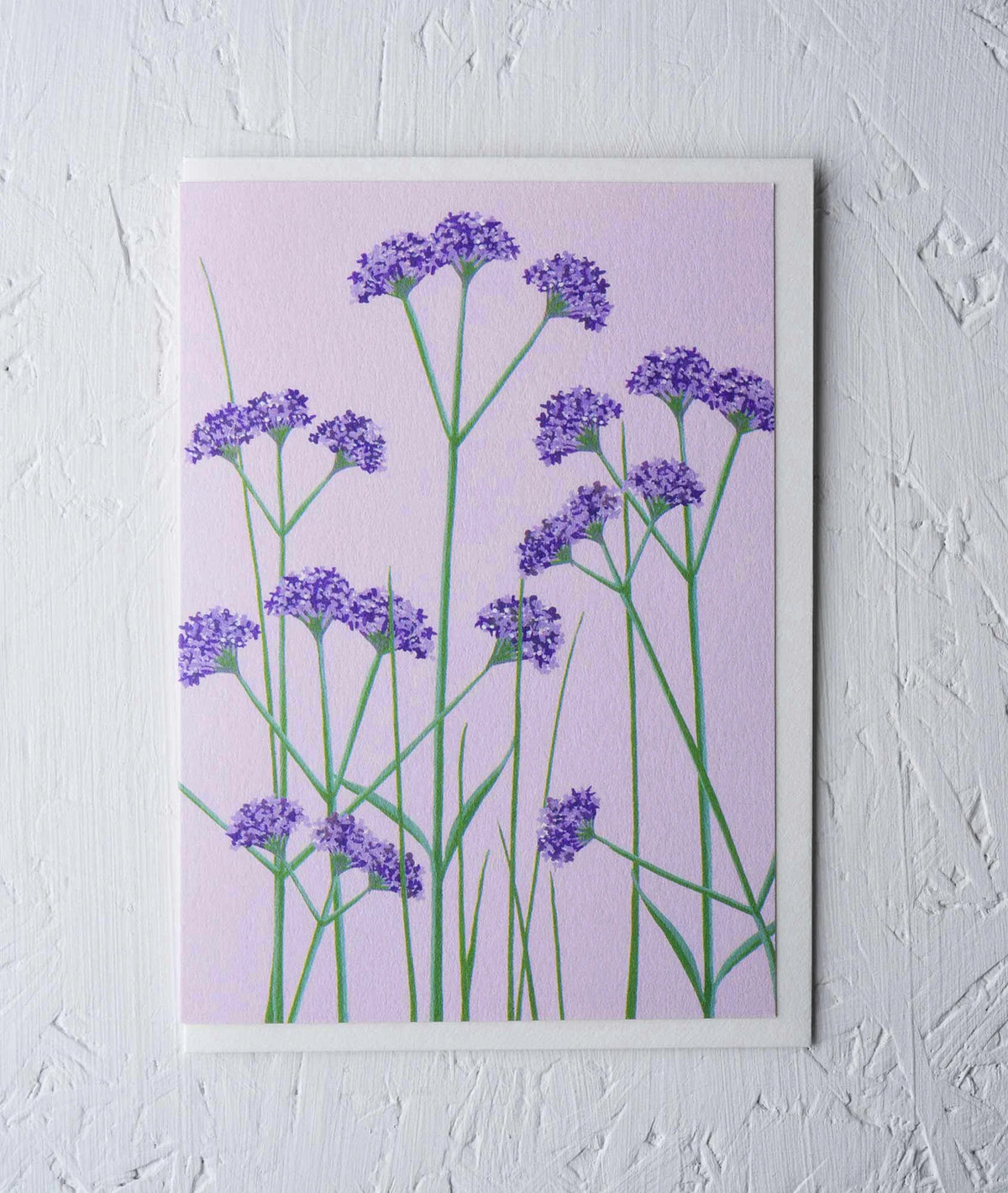 VERBENA | CARD BY STENGUN DRAWINGS | OTHERLETTERS