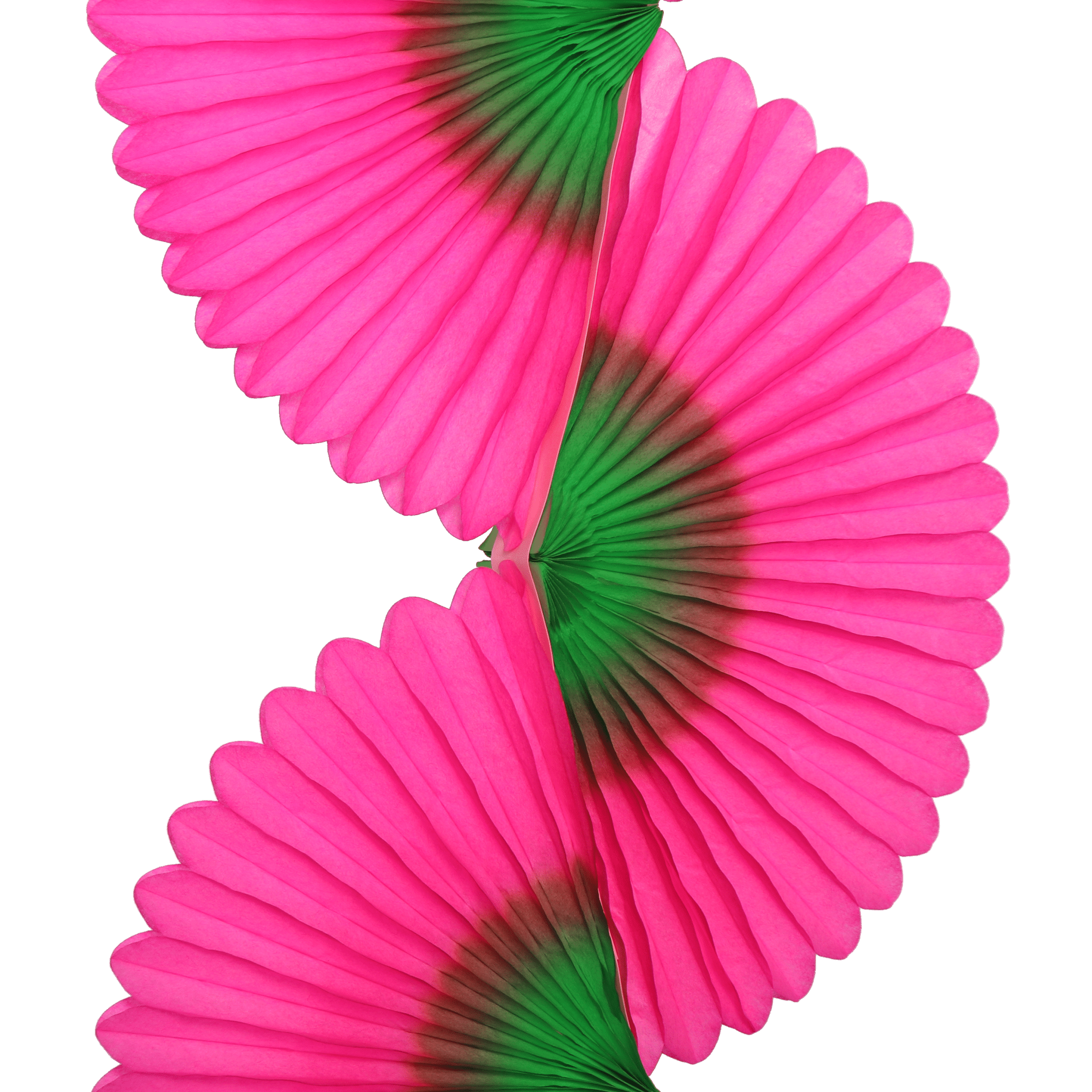 TWO - TONE FAN GARLAND FUCHSIA & GREEN - OTHERLETTERS