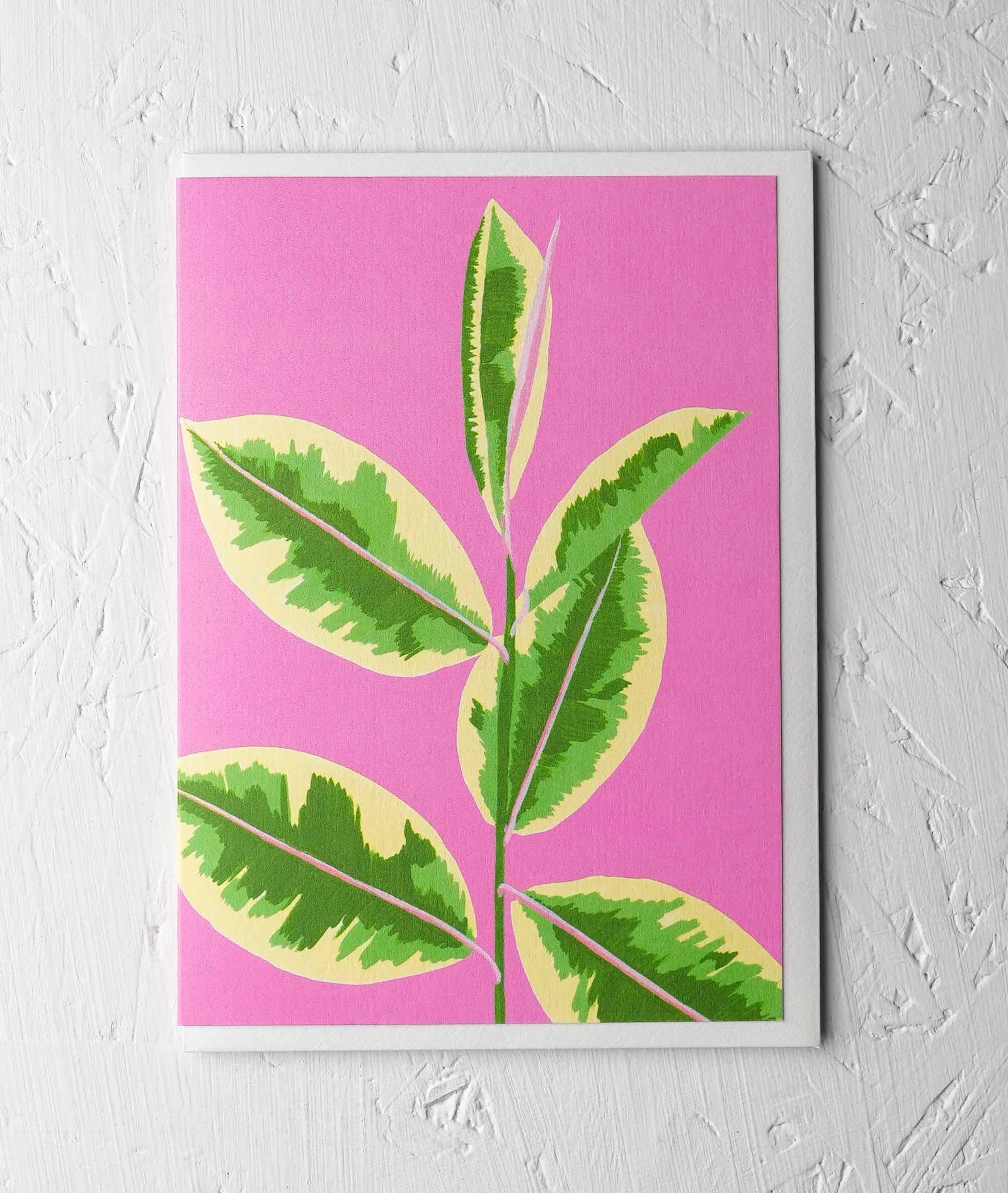 VARIEGATED RUBBER PLANT | CARD BY STENGUN - OTHERLETTERS