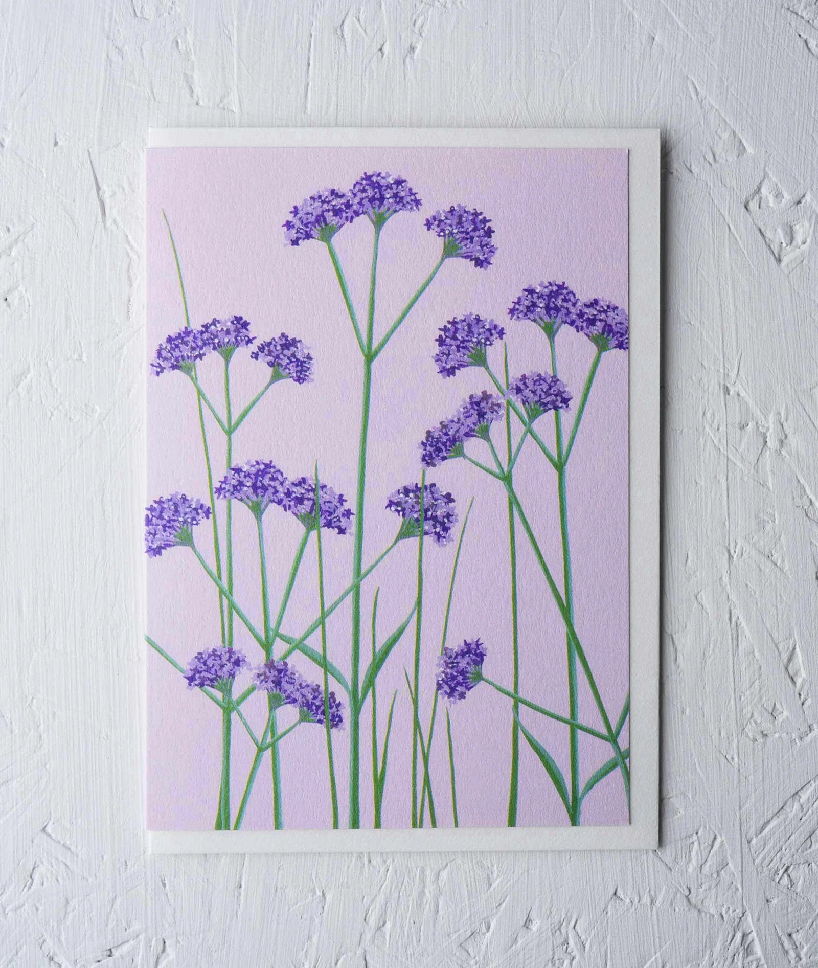 VERBENA | CARD BY STENGUN DRAWINGS - OTHERLETTERS