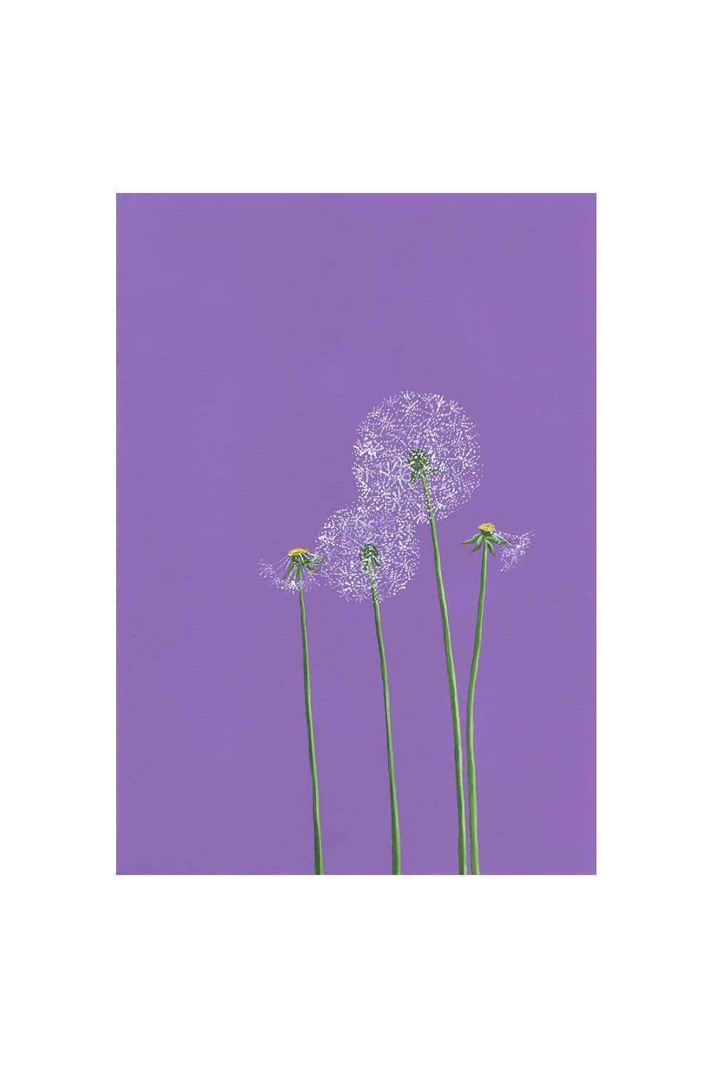 DANDELION | CARD BY STENGUN DRAWINGS | OTHERLETTERS