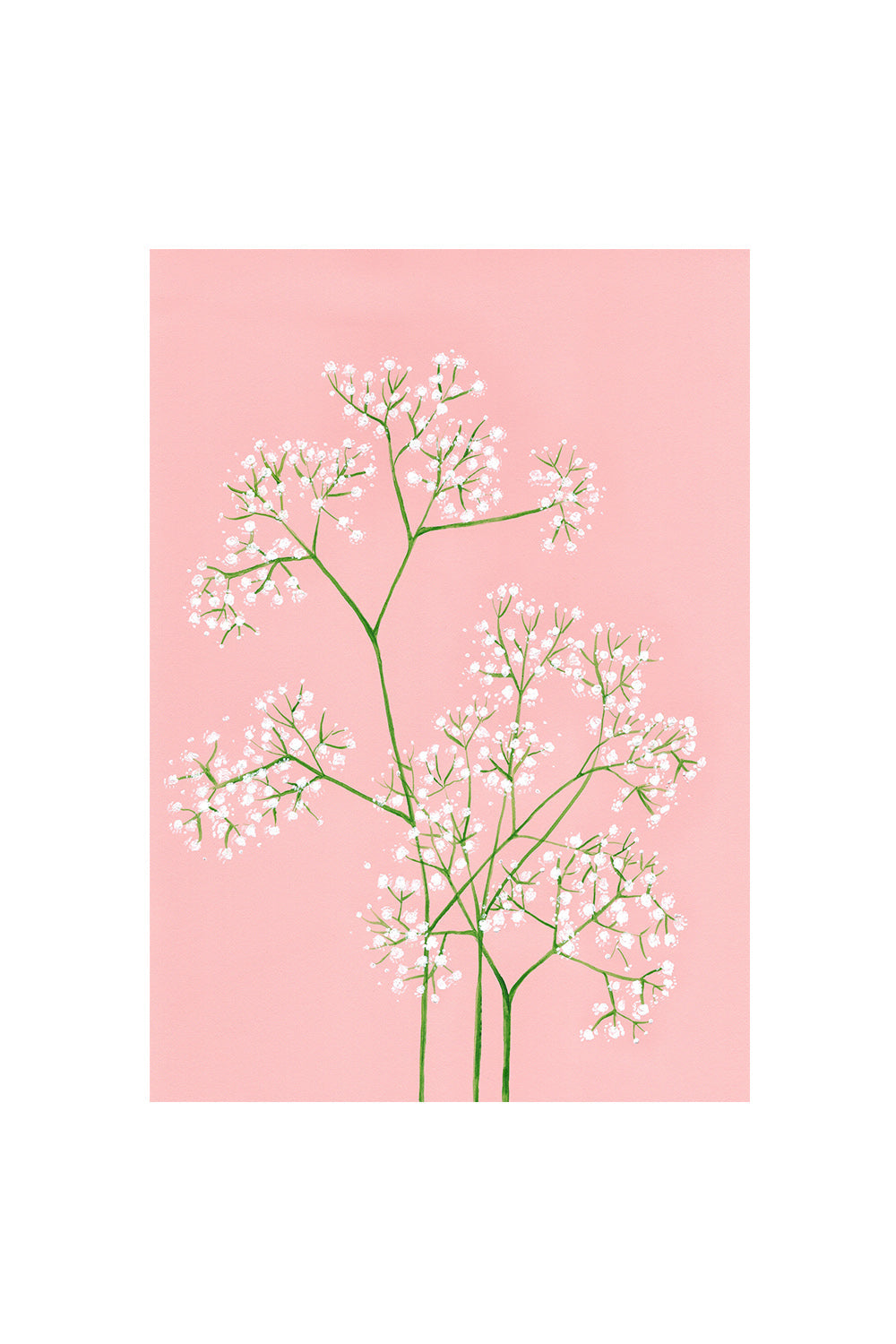 GYPSOPHILA | CARD BY STENGUN DRAWINGS | OTHERLETTERS