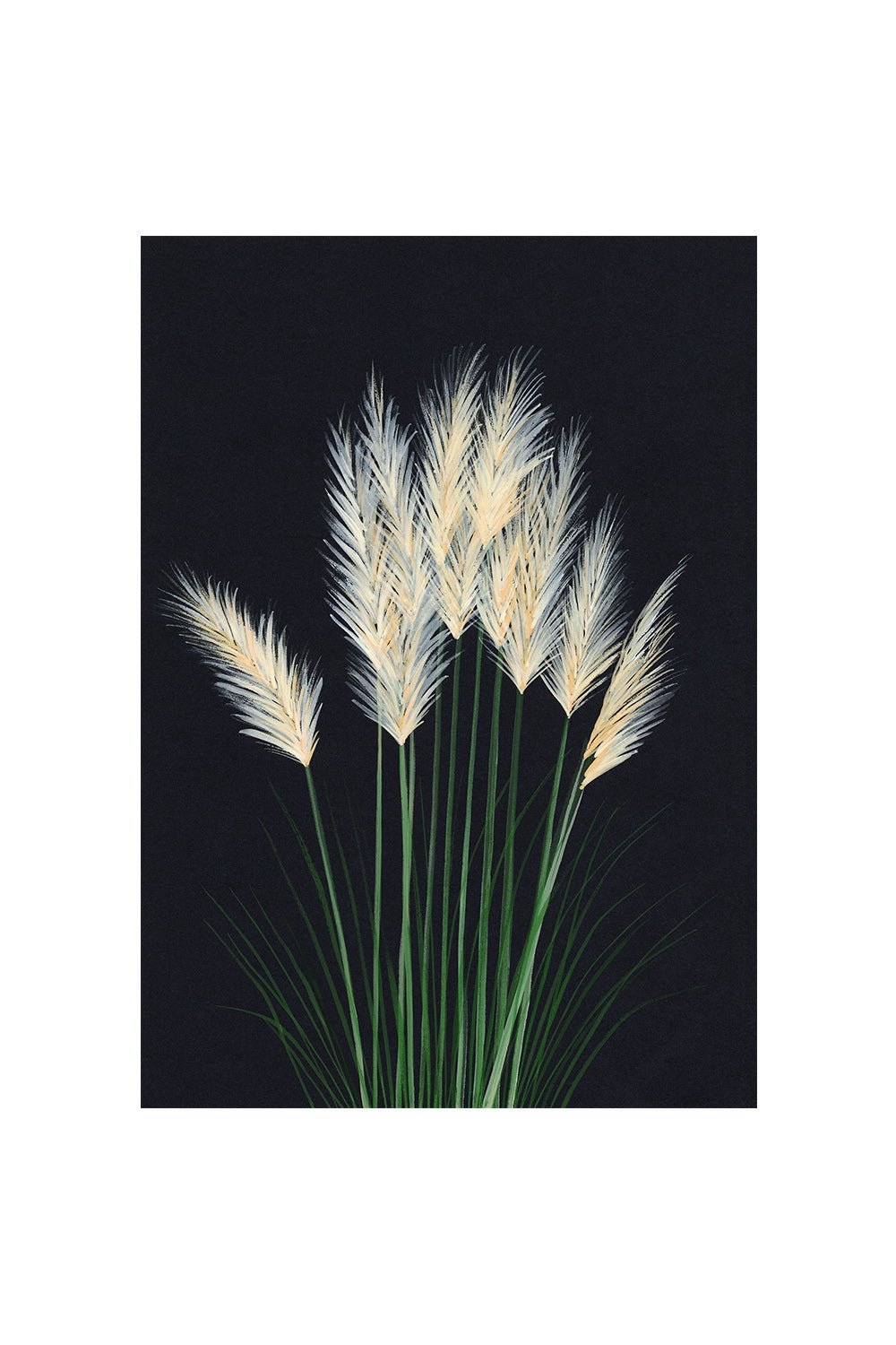 PAMPAS GRASS | CARD BY STENGUN DRAWINGS - OTHERLETTERS