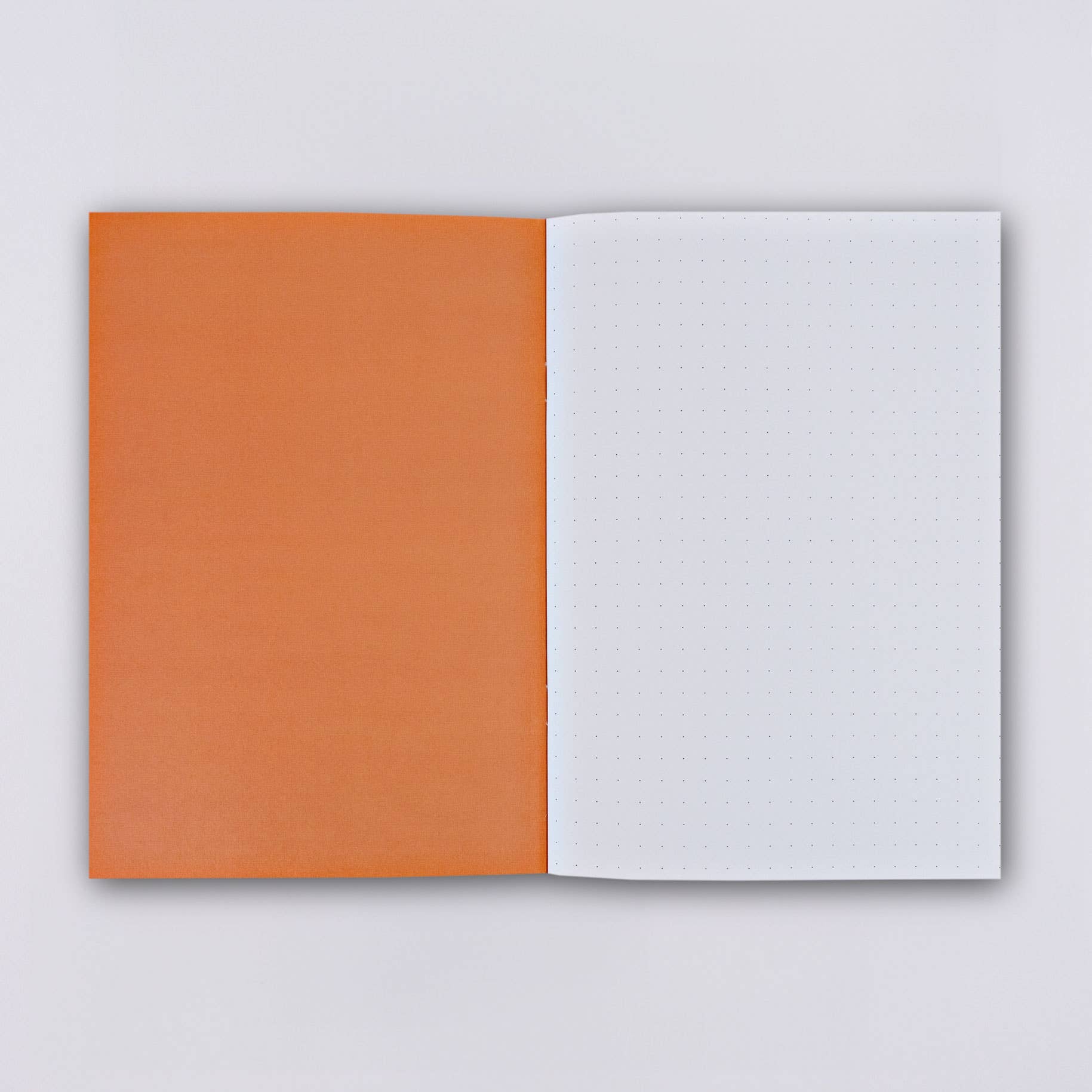 GINGER SLIMLINE NOTEBOOK: LINED - OTHERLETTERS