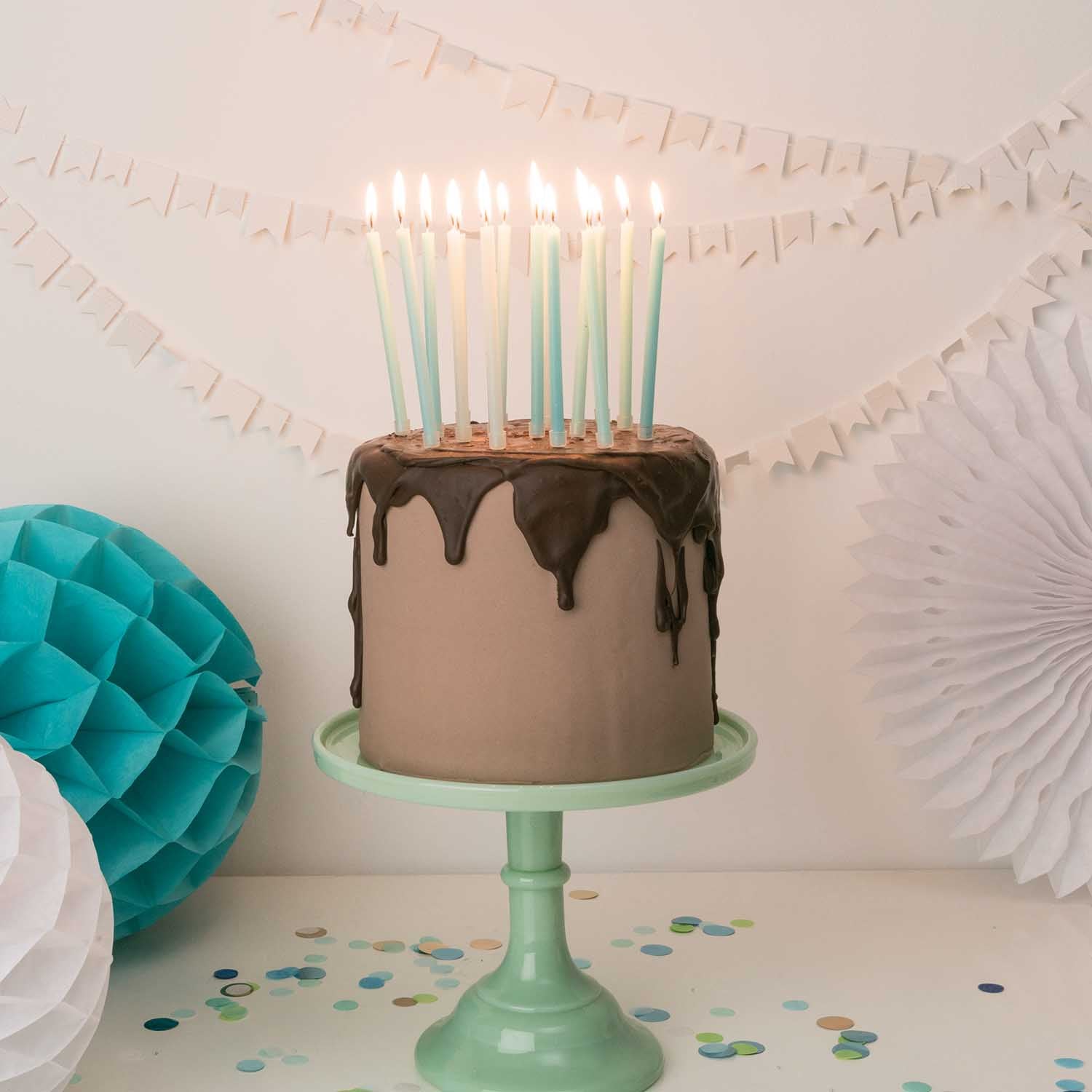 SHORT BIRTHDAY CAKE CANDLES | MINT MIX