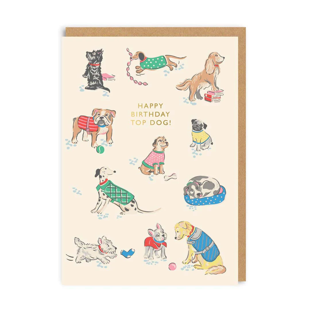 HAPPY BIRTHDAY TOP DOG! | CARD BY CATH KIDSON