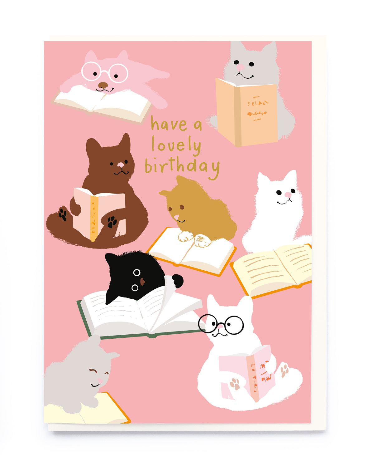 CATS READING | CARD BY NOI