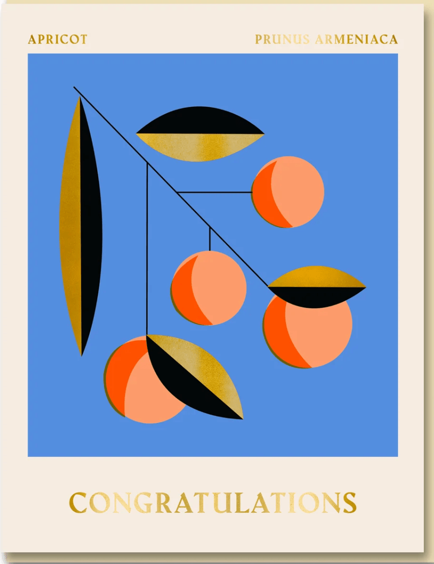 CONGRATULATIONS | CARD BY 1973 - OTHERLETTERS