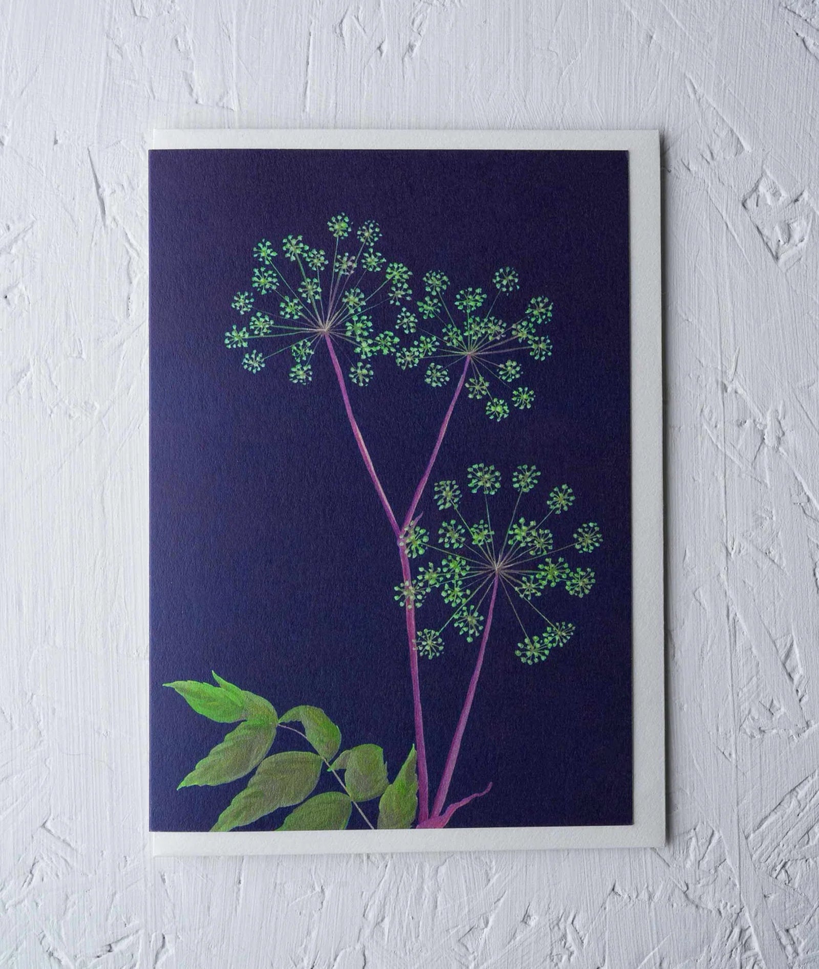 ANGELICA | CARD BY STENGUN DRAWINGS - OTHERLETTERS