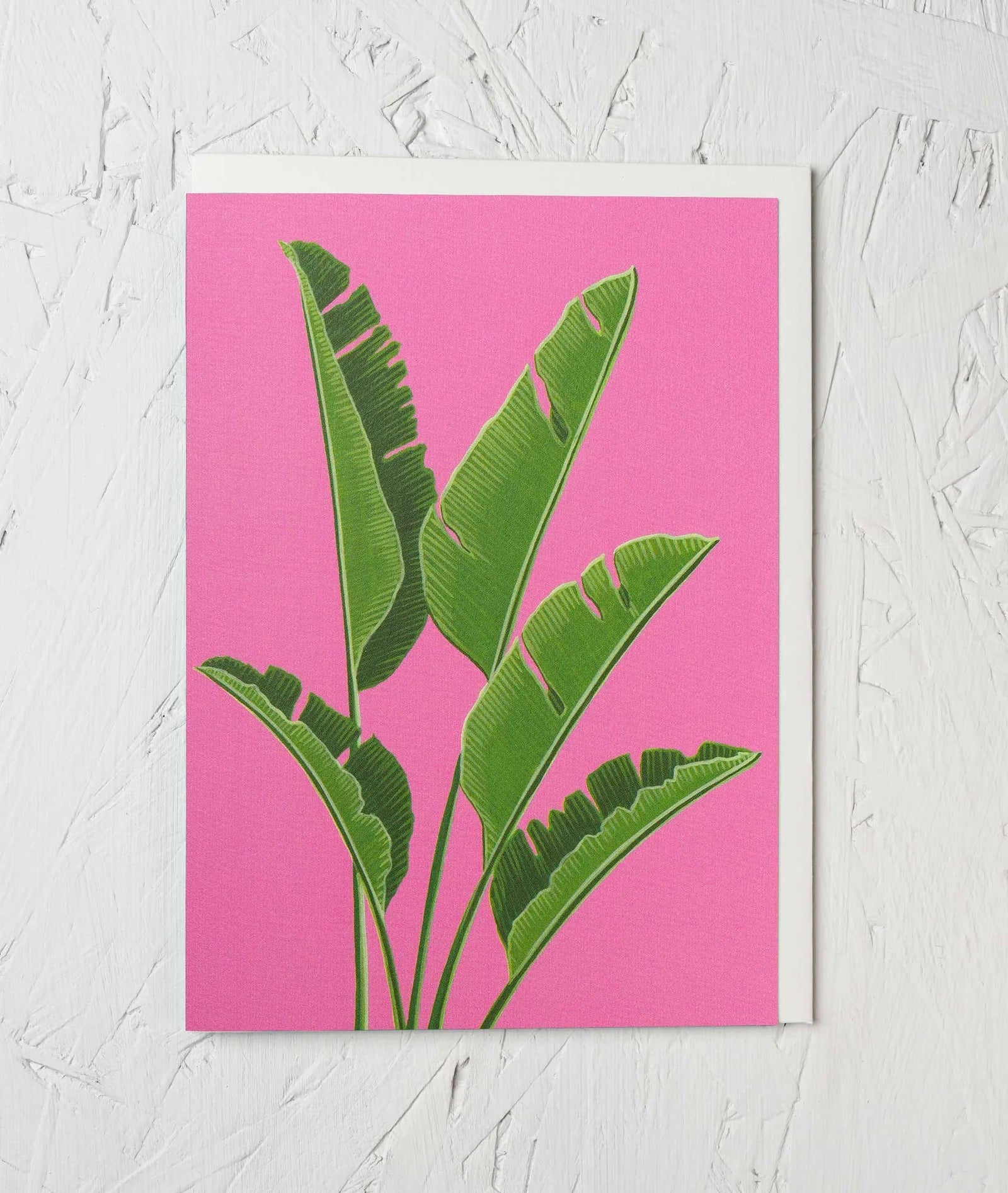 BANANA PLANT | CARD BY STENGUN DRAWINGS - OTHERLETTERS
