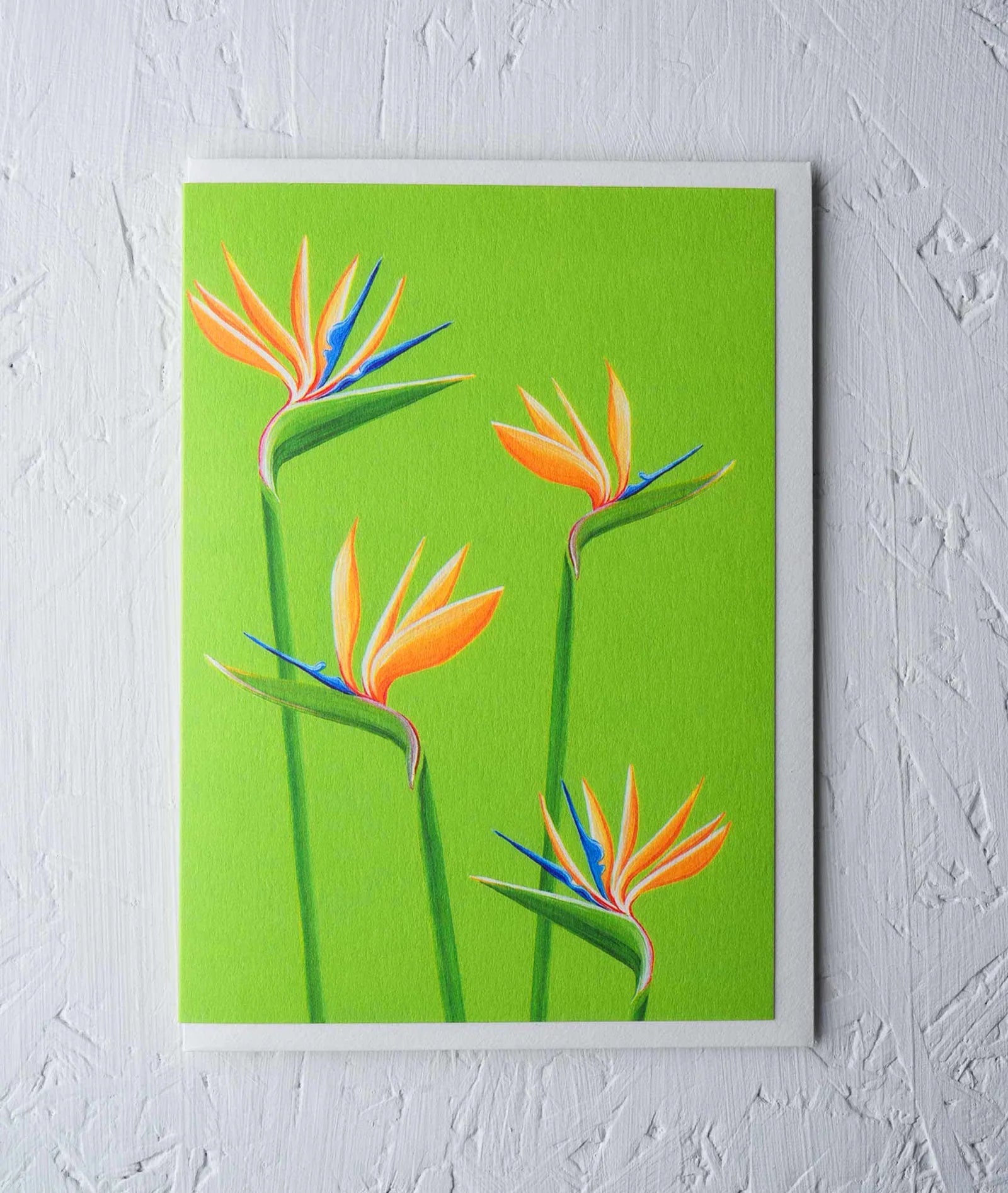 BIRDS OF PARADISE | CARD BY STENGUN DRAWINGS - OTHERLETTERS
