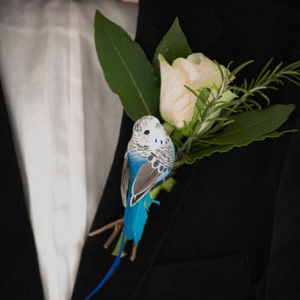 CLIP ON FEATHER BIRD | BY PETRA BOASE - OTHERLETTERS