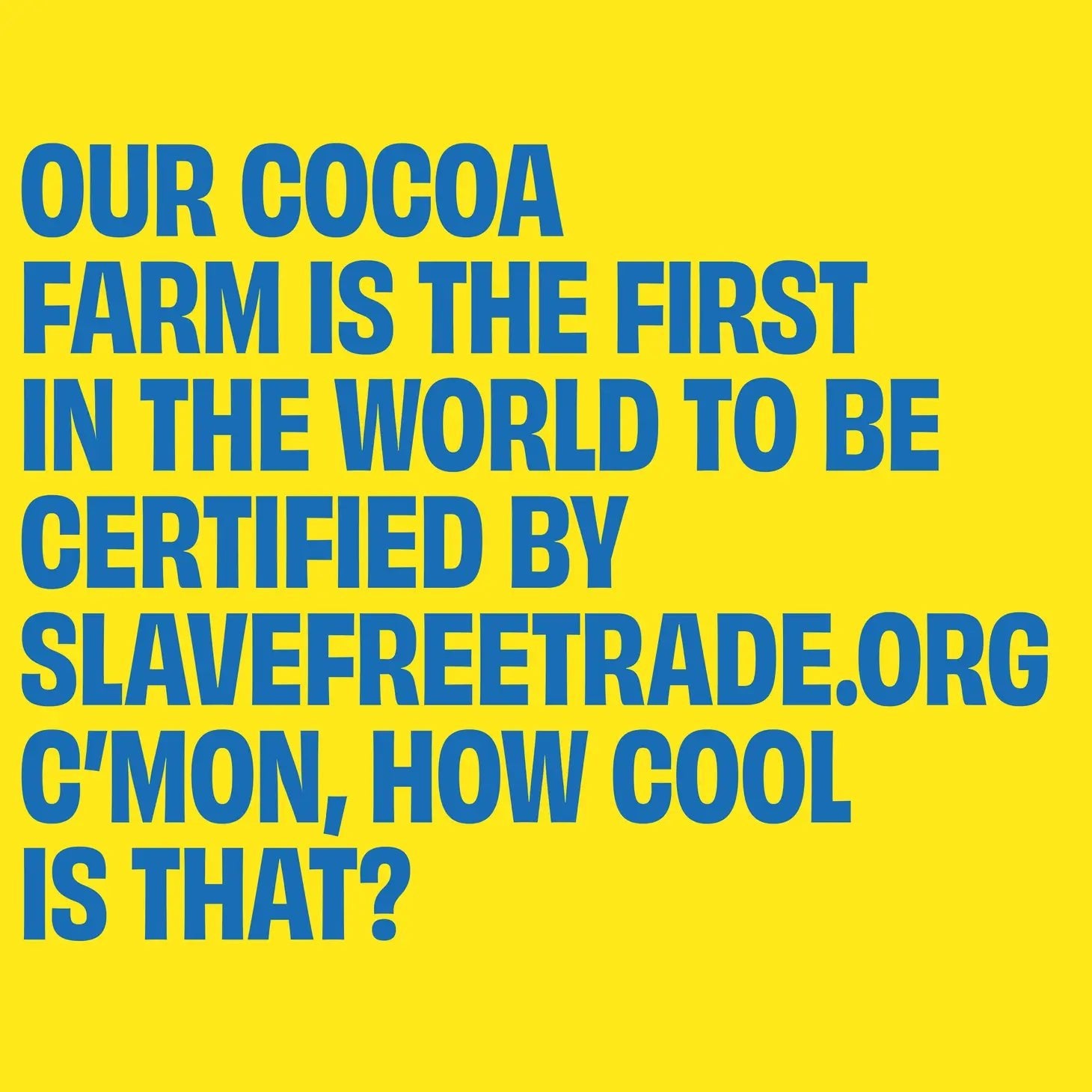 DARK SEA SALT CHOCOLATE BAR BY UP UP 120g - OTHERLETTERS