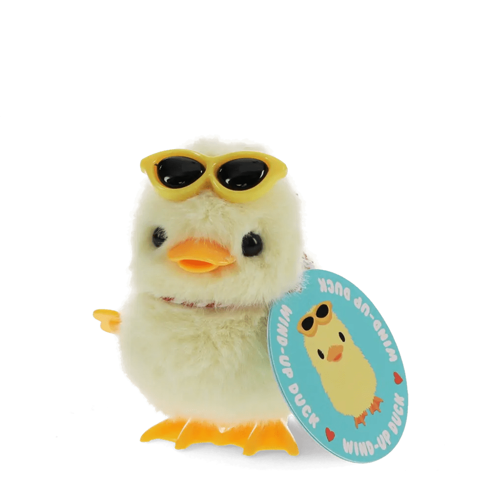 FLUFFY WIND UP TOY DUCK - OTHERLETTERS