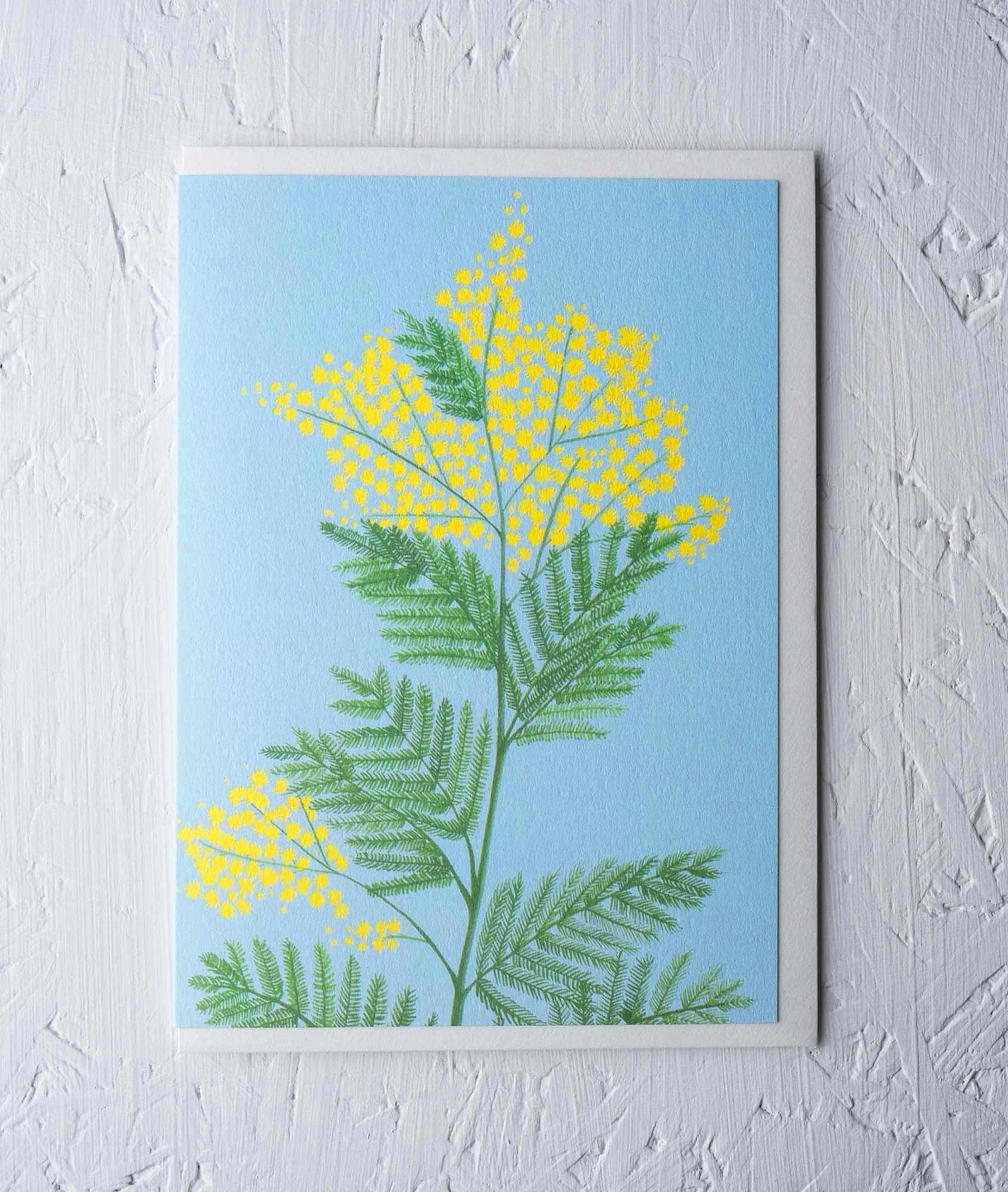 MIMOSA | CARD BY STENGUN - OTHERLETTERS