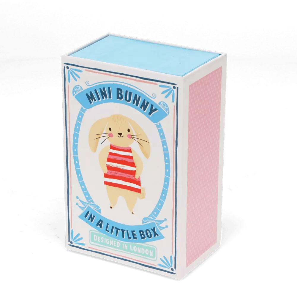 MINI BUNNY IN A BOX - OTHERLETTERS