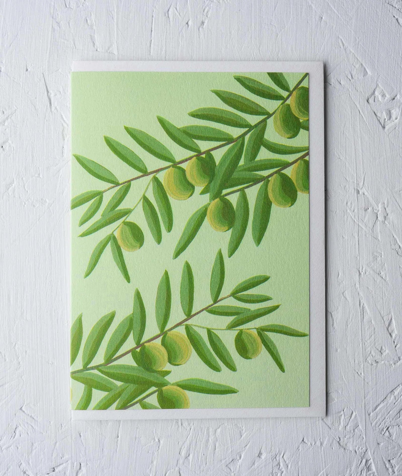 OLIVES | CARD BY STENGUN DRAWINGS - OTHERLETTERS