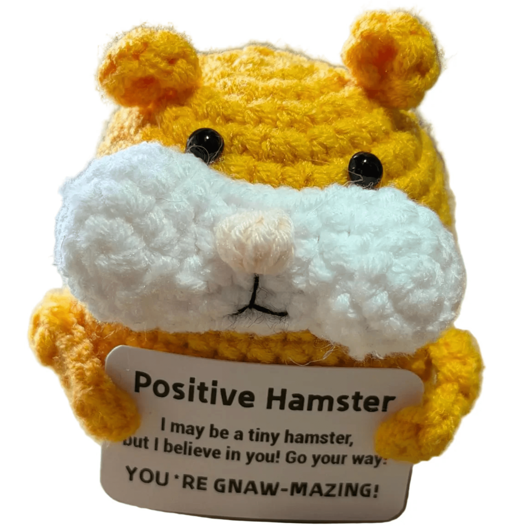 POSITIVE HAMSTER - OTHERLETTERS