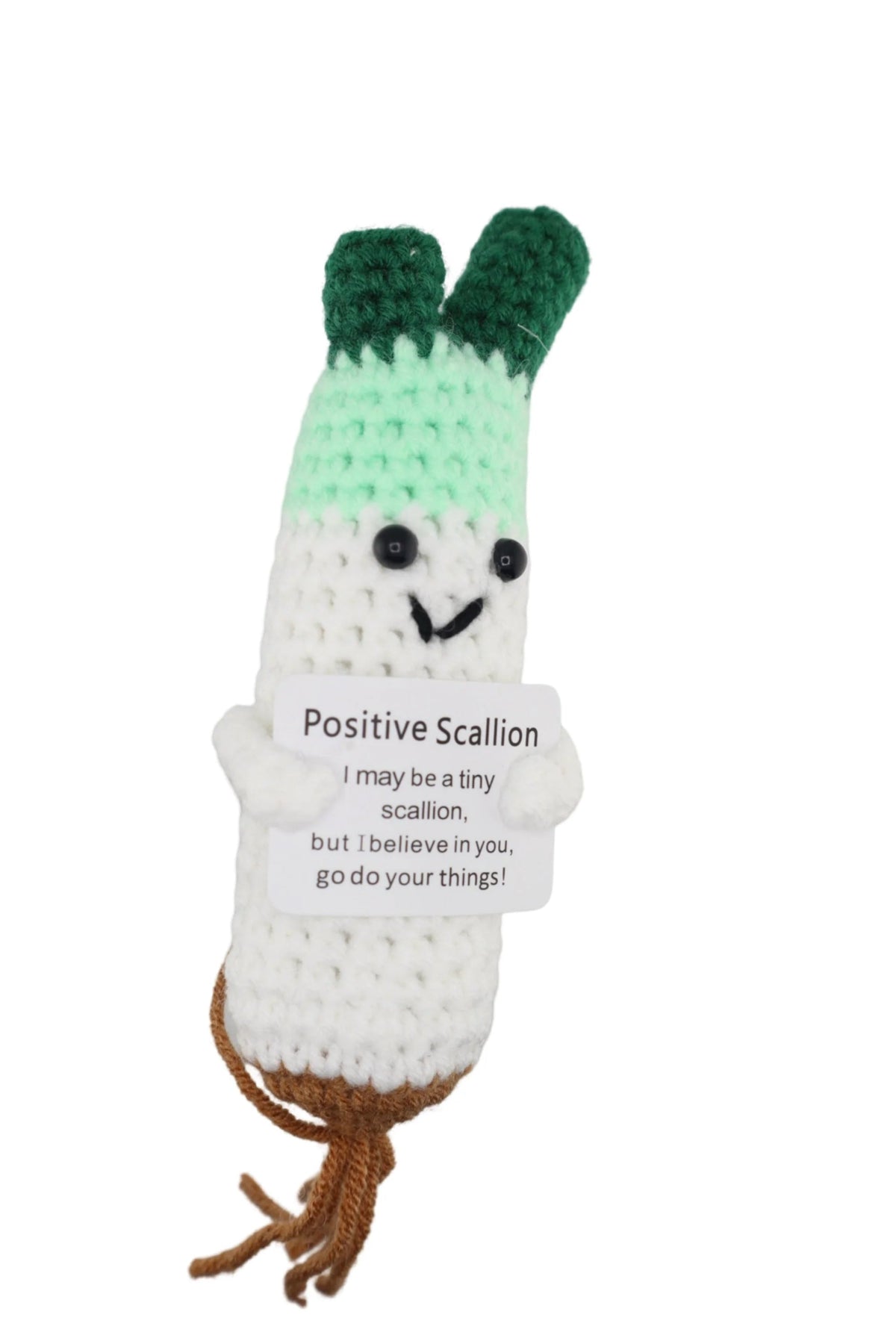 POSITIVE SCALLION | OTHERLETTERS