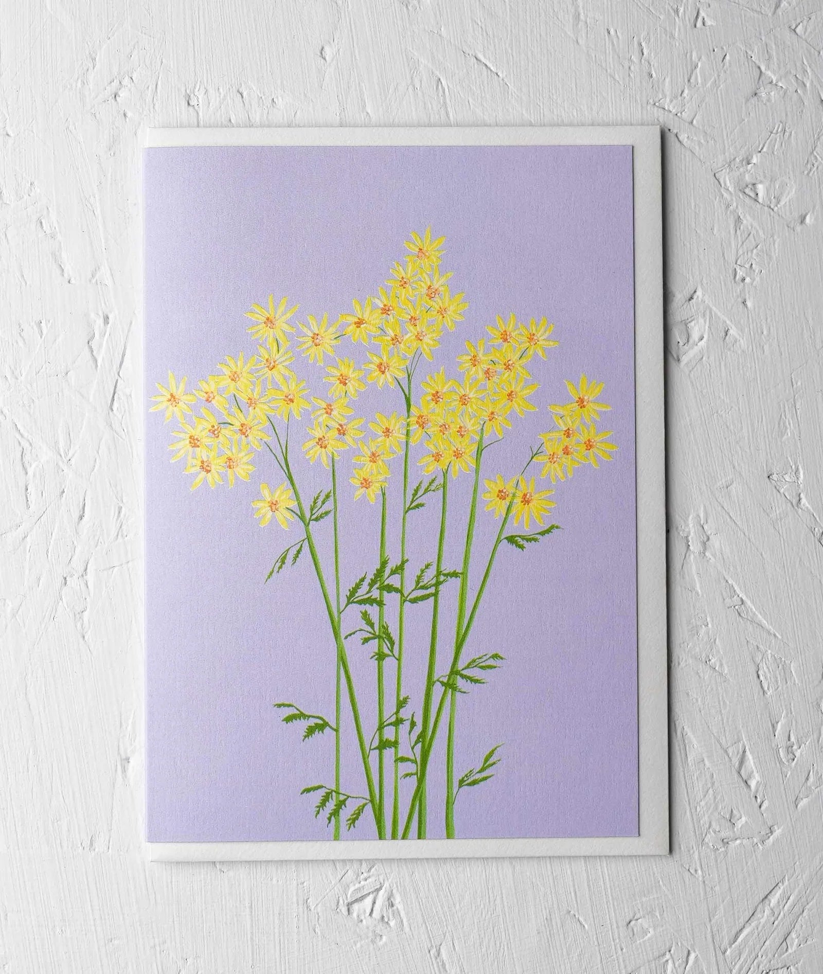 RAGWORT | CARD BY STENGUN DRAWINGS - OTHERLETTERS
