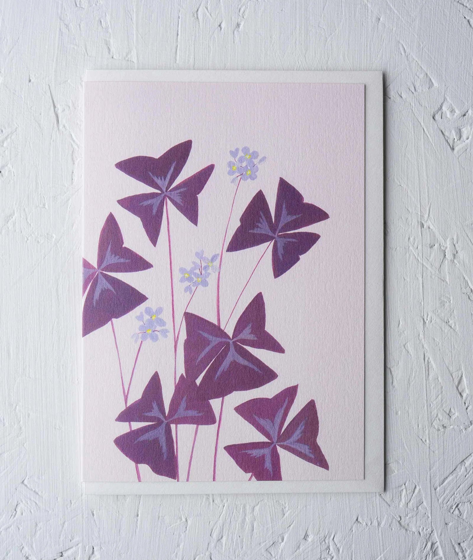 OXALIS | CARD BY STENGUN DRAWINGS