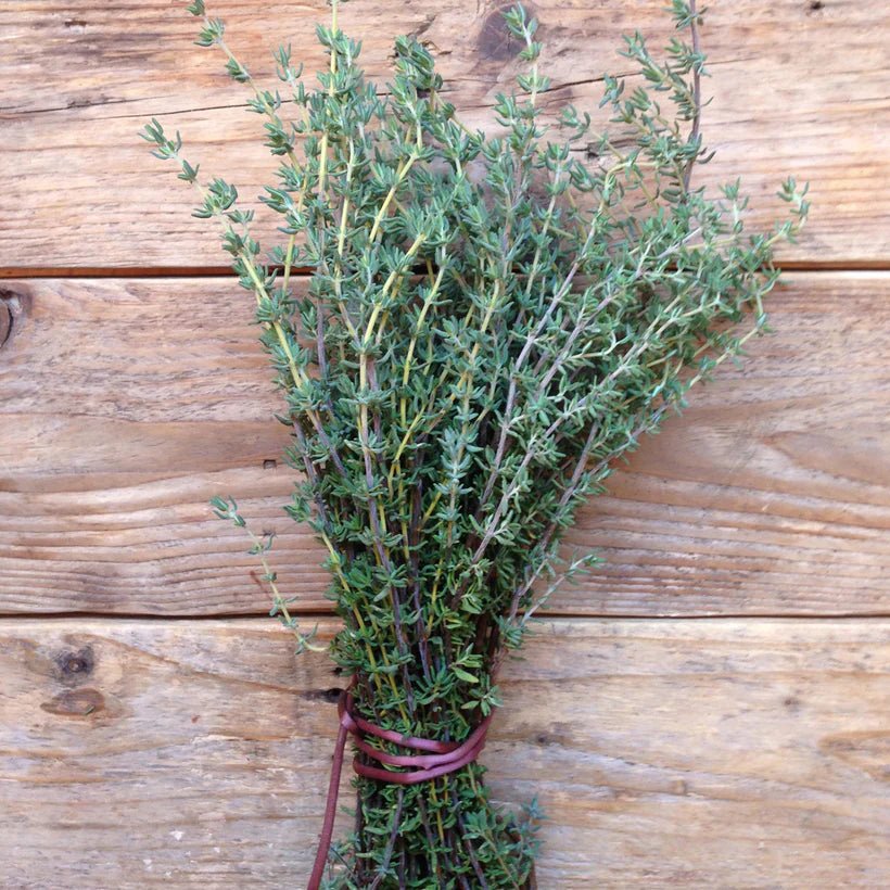 THYME DE PROVENCE SEEDS - OTHERLETTERS