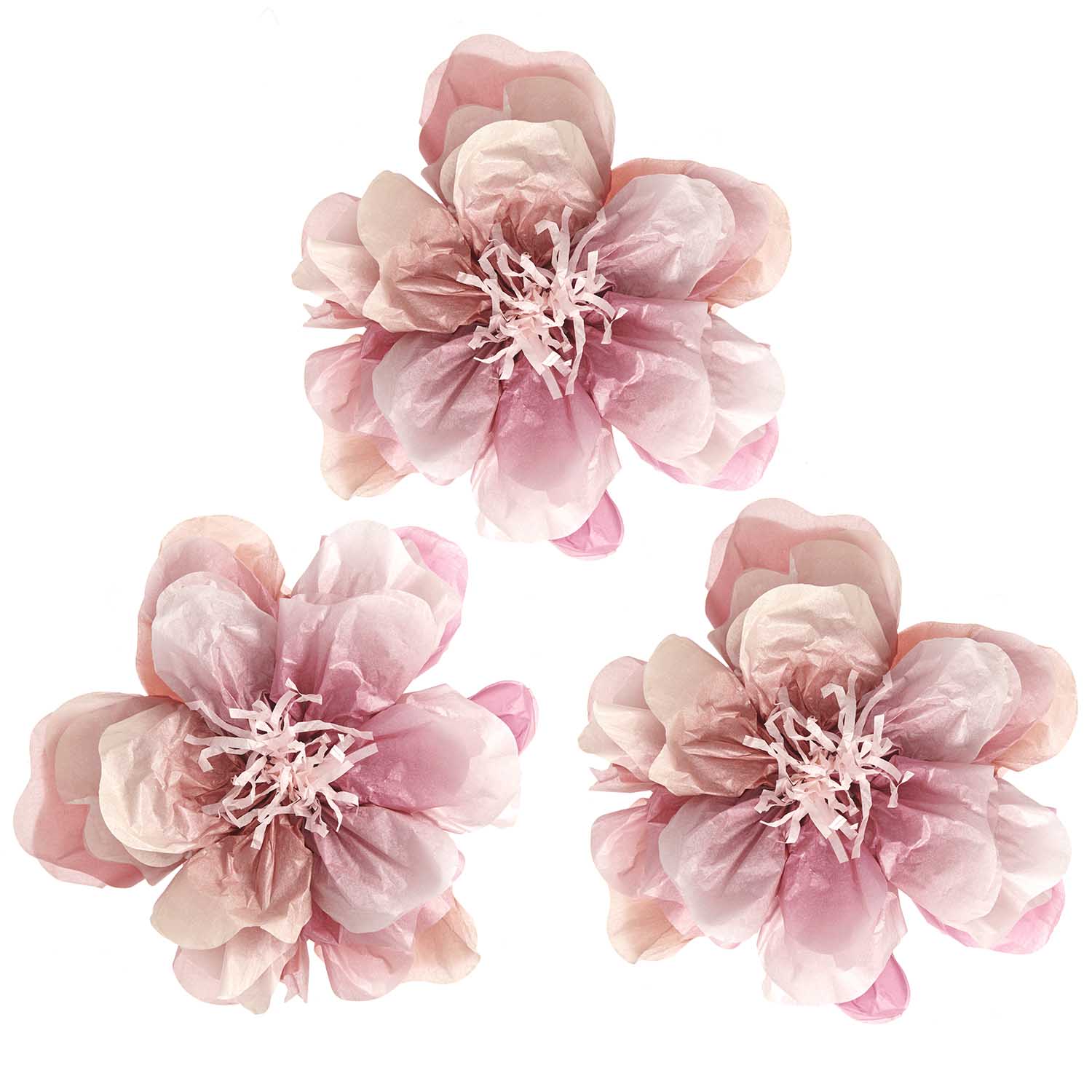 WILD ROSE TISSUE FLOWERS | 29cm - OTHERLETTERS