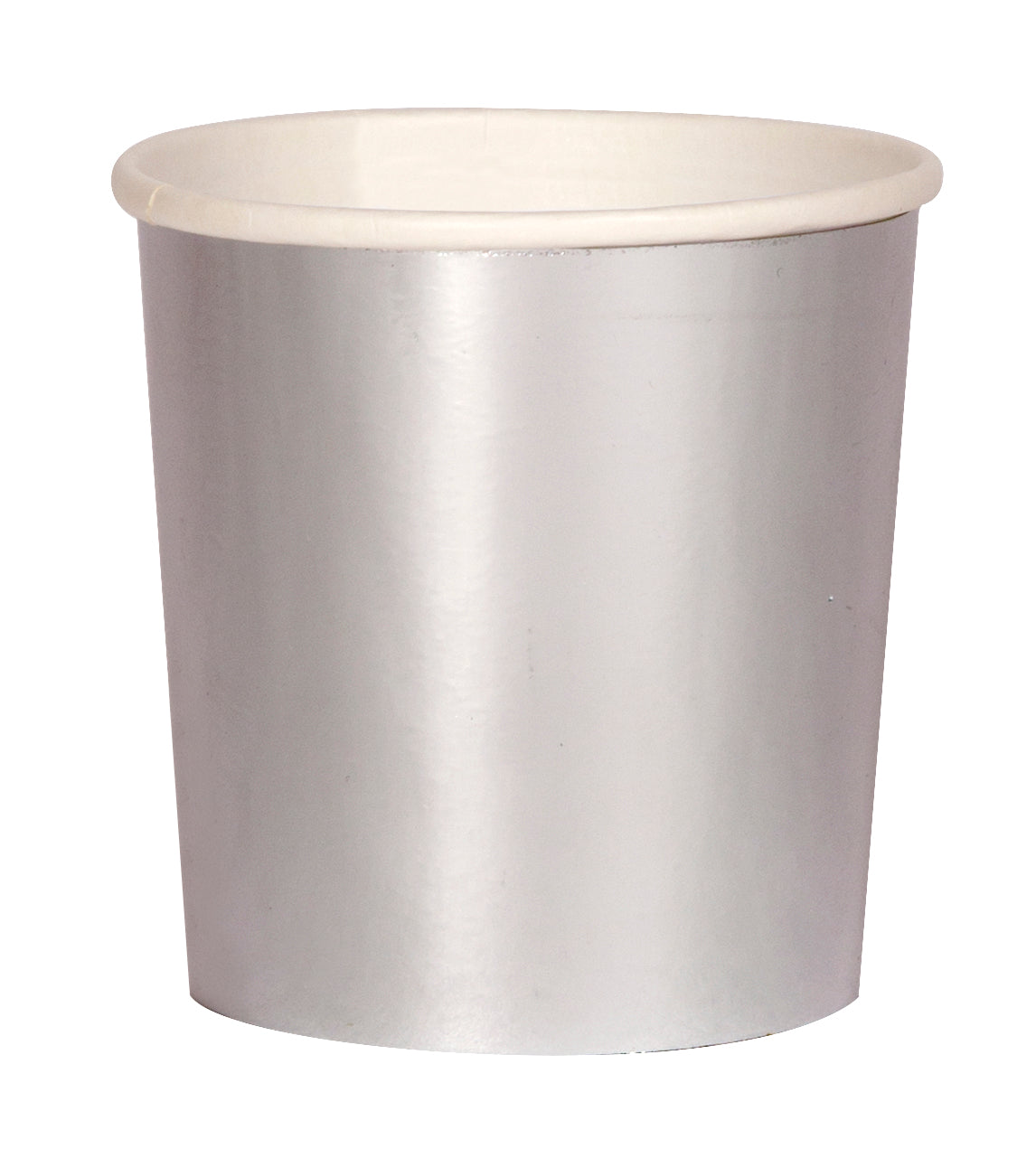 SILVER | PAPER TUMBLERS