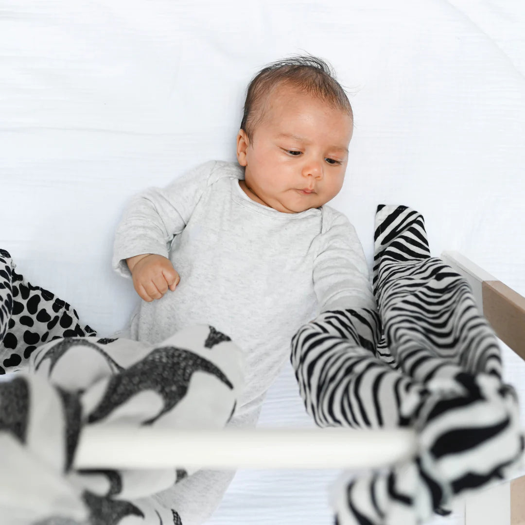 ANIMAL PRINT MUSLIN 3-PACK - for newborn to 4 month old babies | BY ETTA LOVES