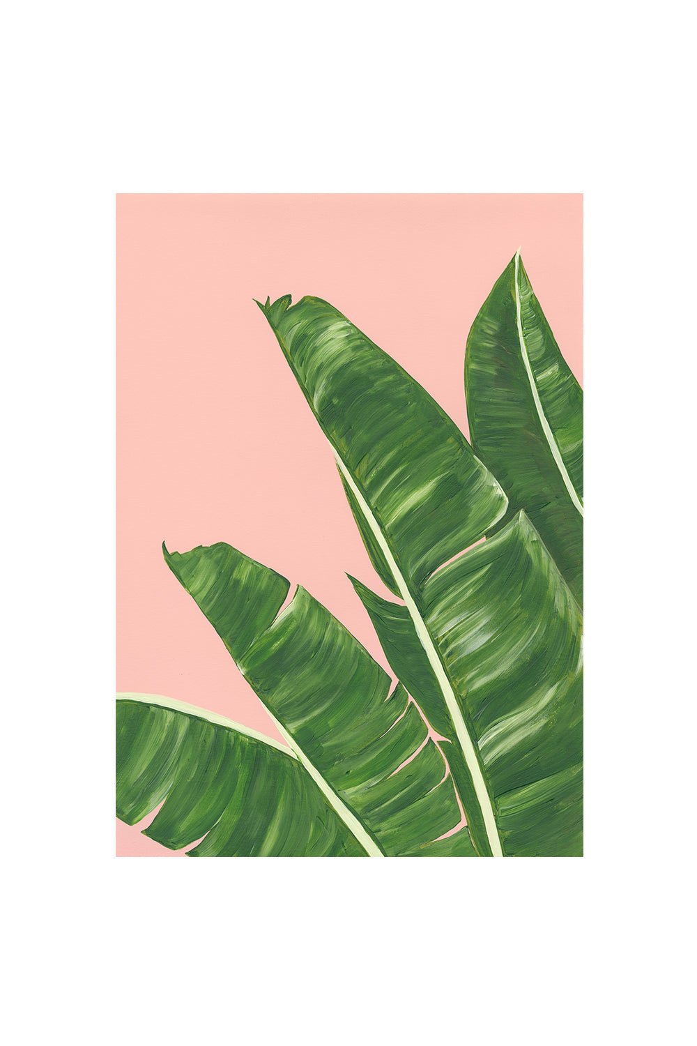 BANANA PLANT | CARD BY STENGUN DRAWINGS - OTHERLETTERS