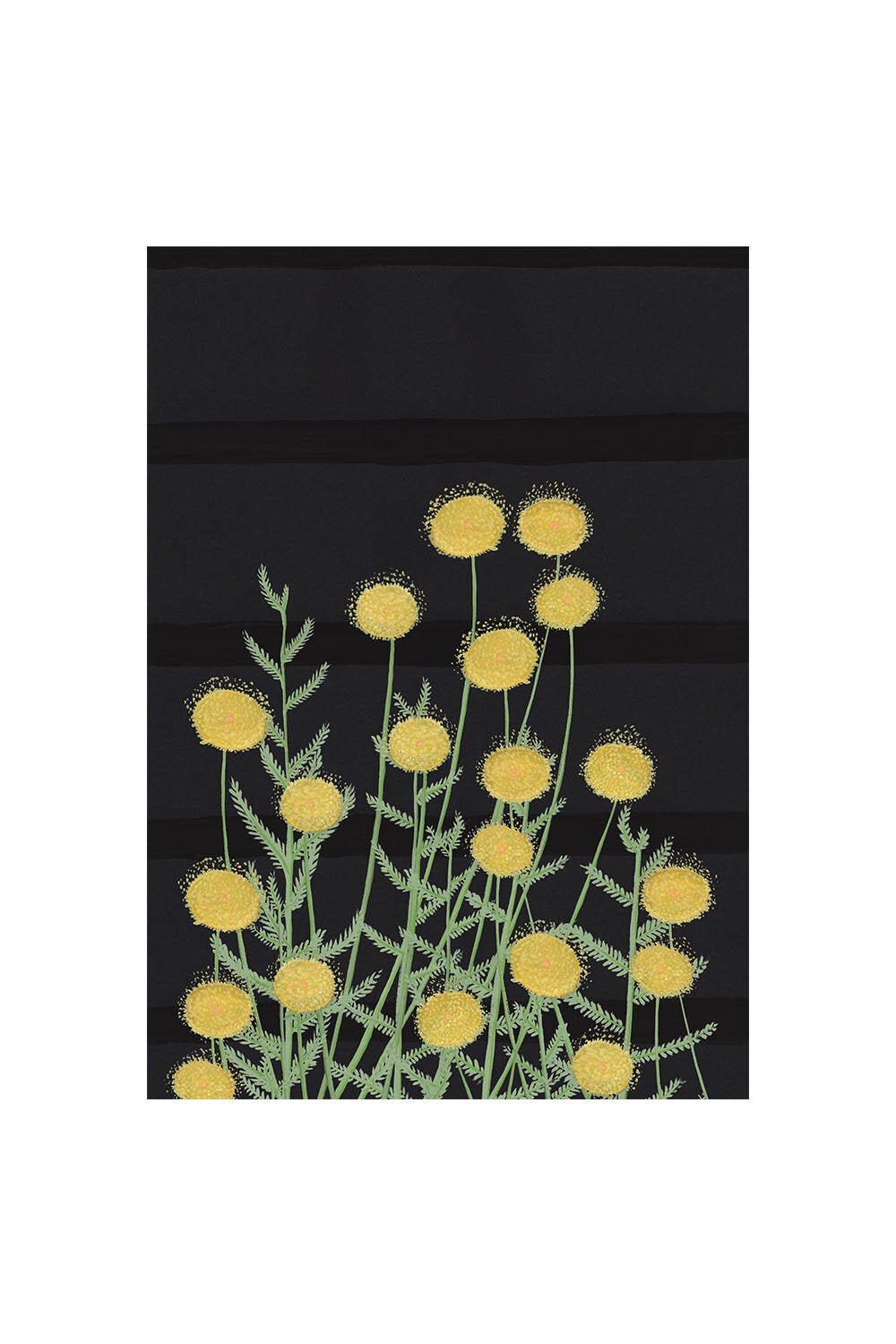 DUNGENESS | CARD BY STENGUN DRAWINGS - OTHERLETTERS