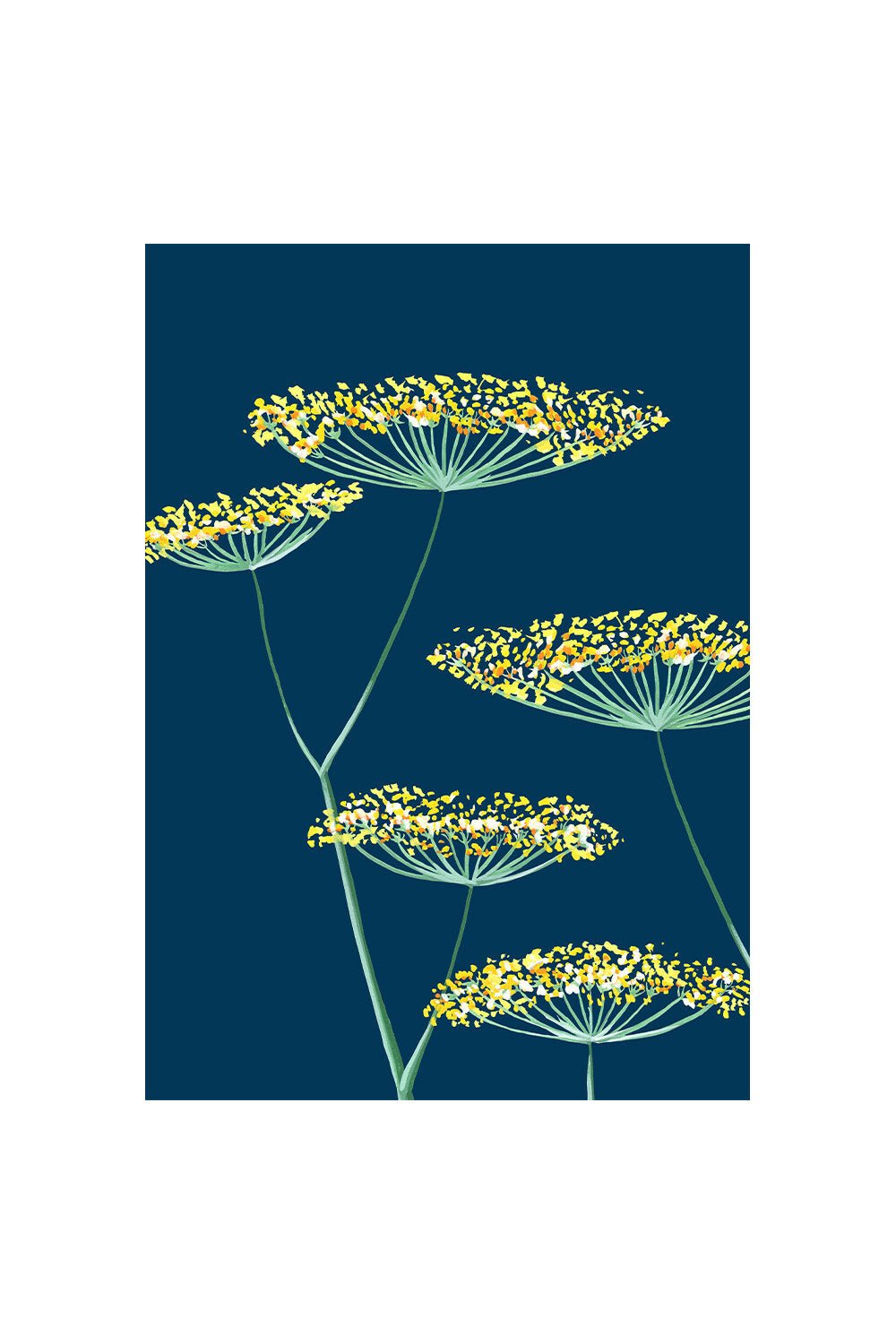 FENNEL ON NAVY | CARD BY STENGUN SRAWINGS - OTHERLETTERS