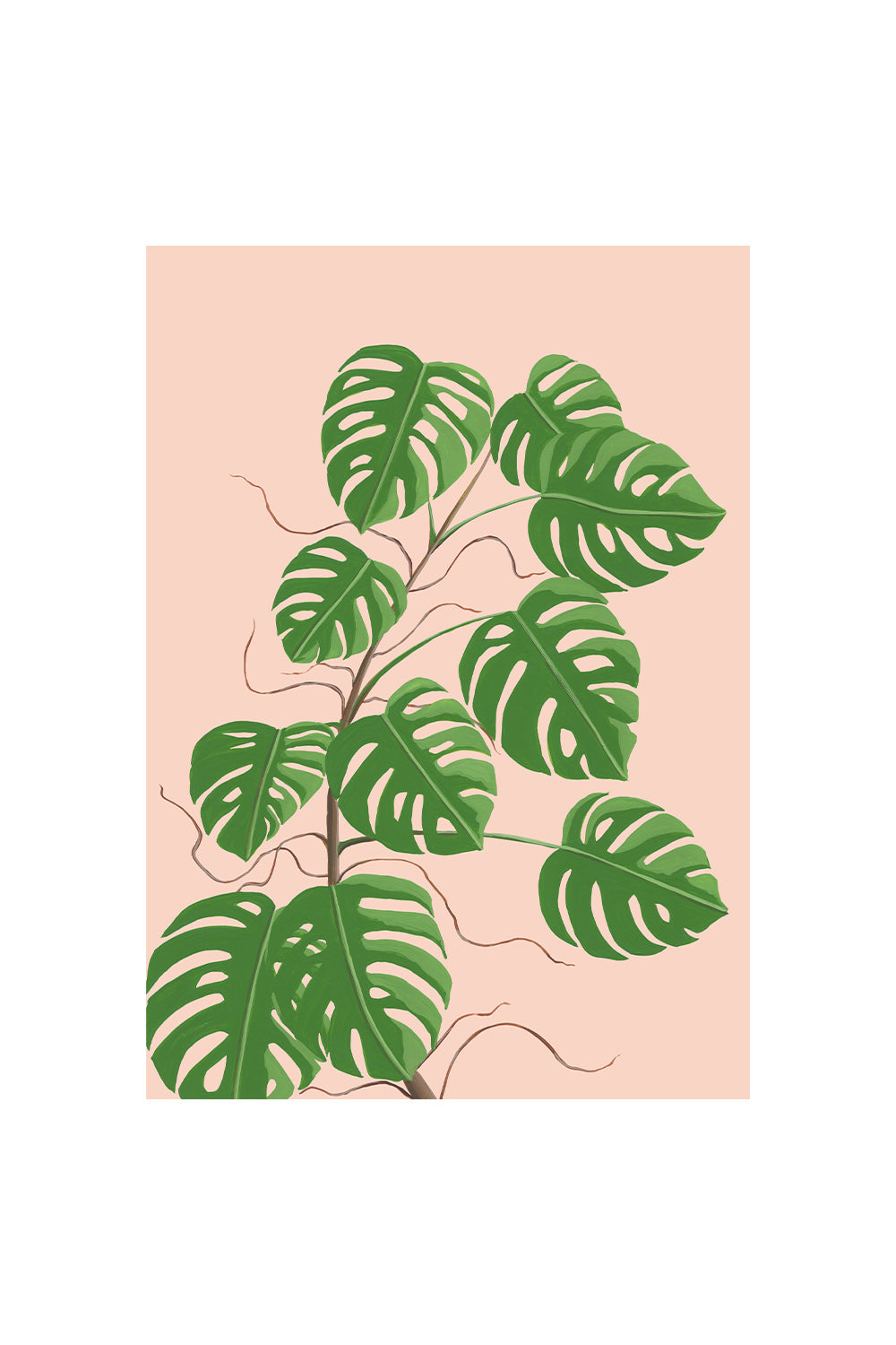 GREENHOUSE MONSTERA | CARD BY STENGUN DRAWINGS